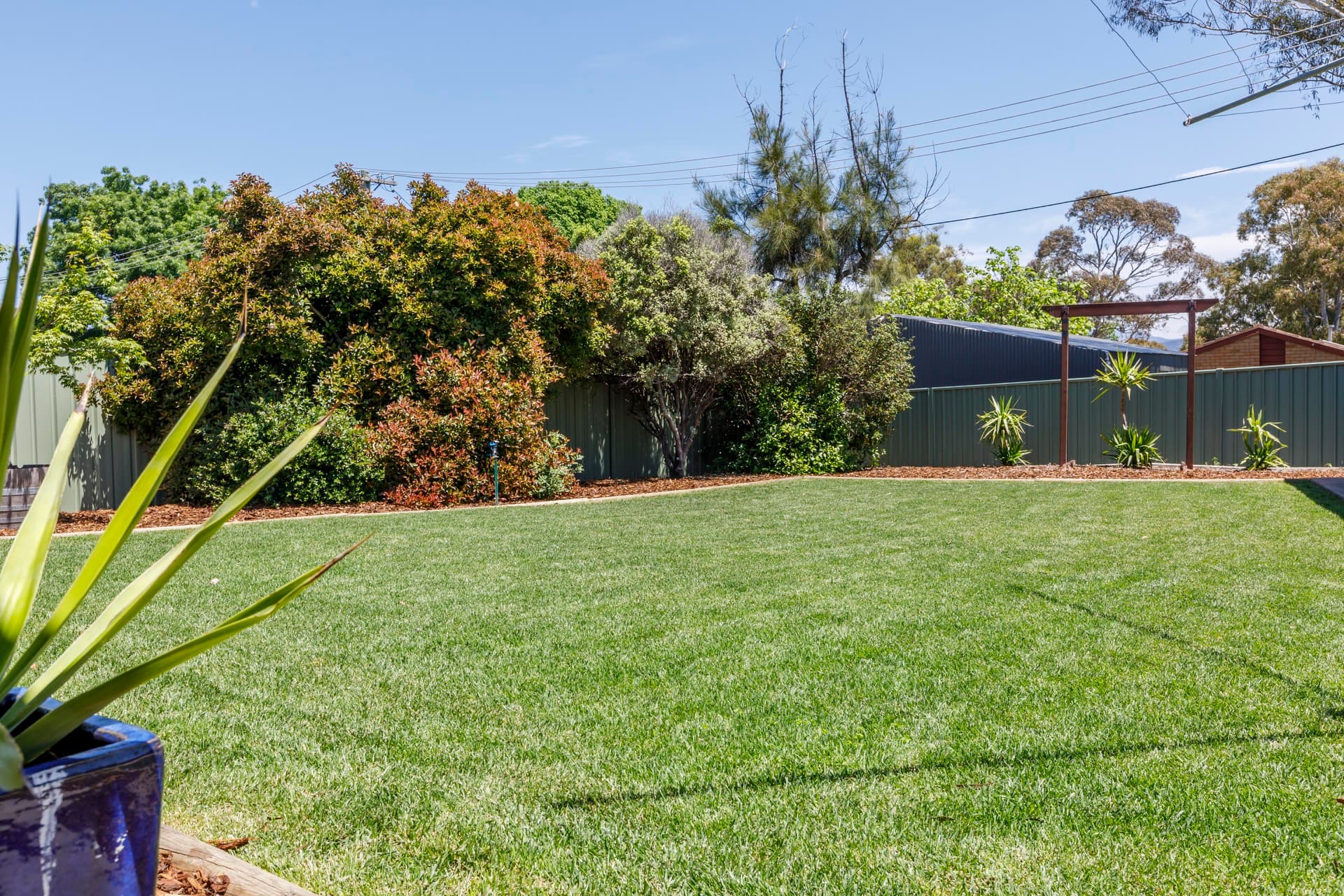 41 Mofflin Street, Chisholm ACT 2905, Chisholm - Thumbnail 5