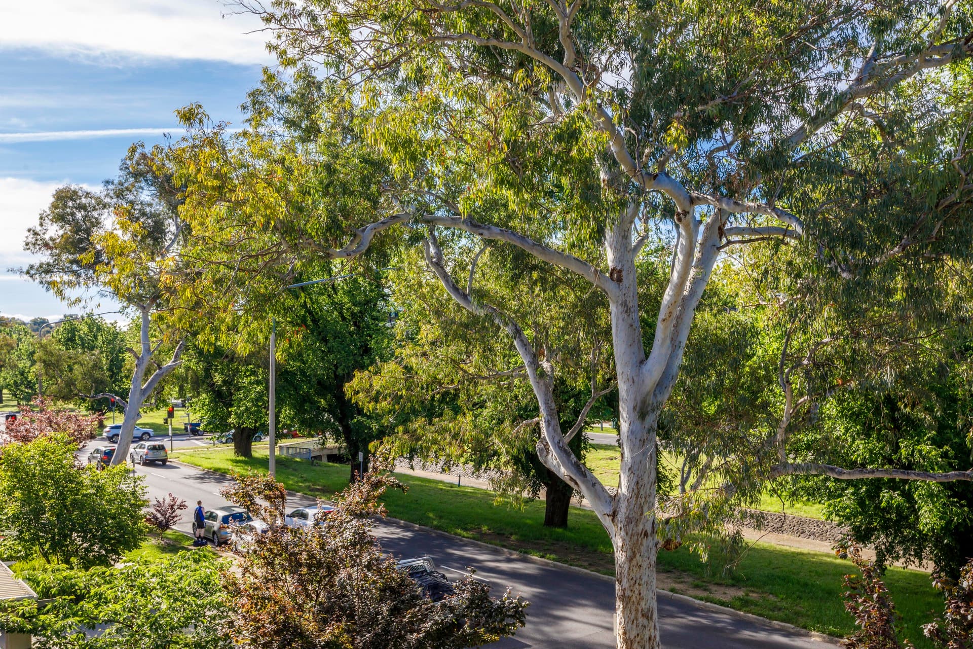 13/21 Brisbane Avenue, Barton ACT 2600, Barton - Thumbnail 6