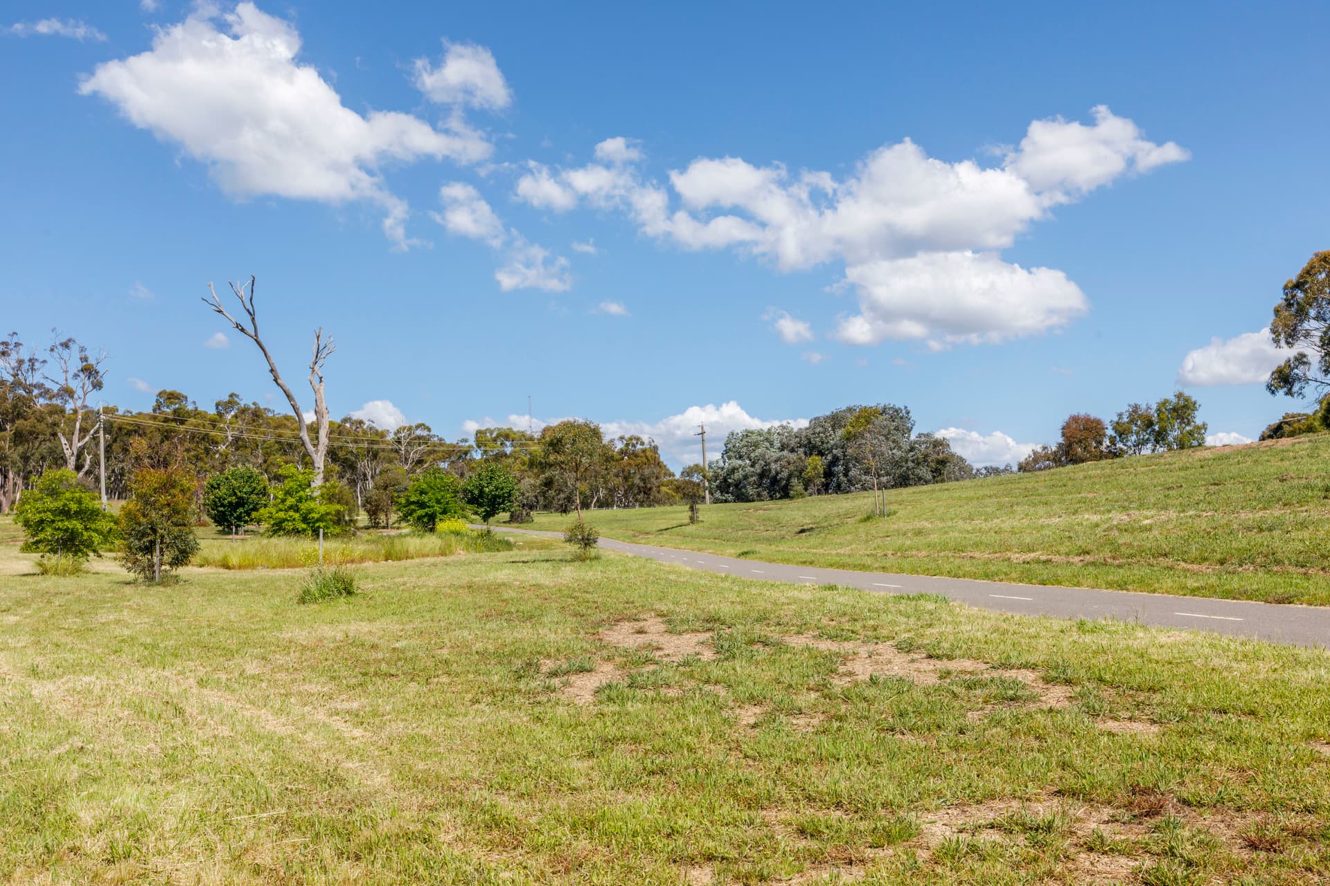 62 Cocoparra Crescent, Crace ACT 2911, Crace - Thumbnail 7