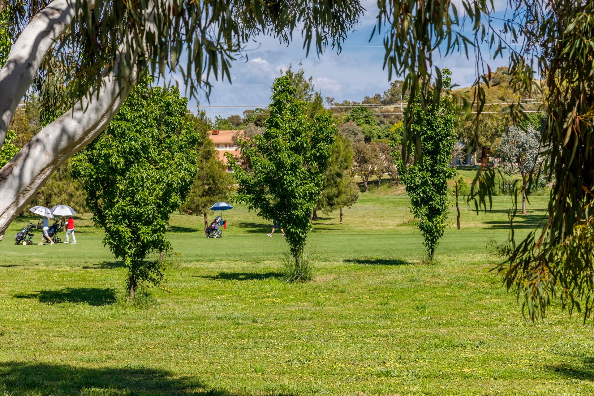 8/66 Paul Coe Crescent, Ngunnawal ACT 2913, Ngunnawal - Thumbnail 7