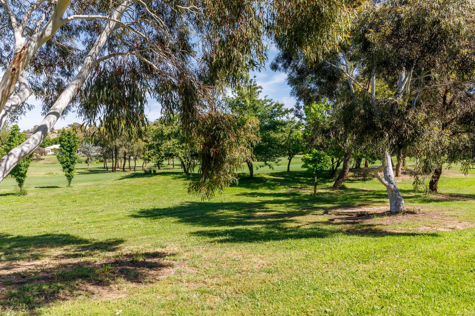 8/66 Paul Coe Crescent, Ngunnawal ACT 2913, Ngunnawal - Thumbnail 8