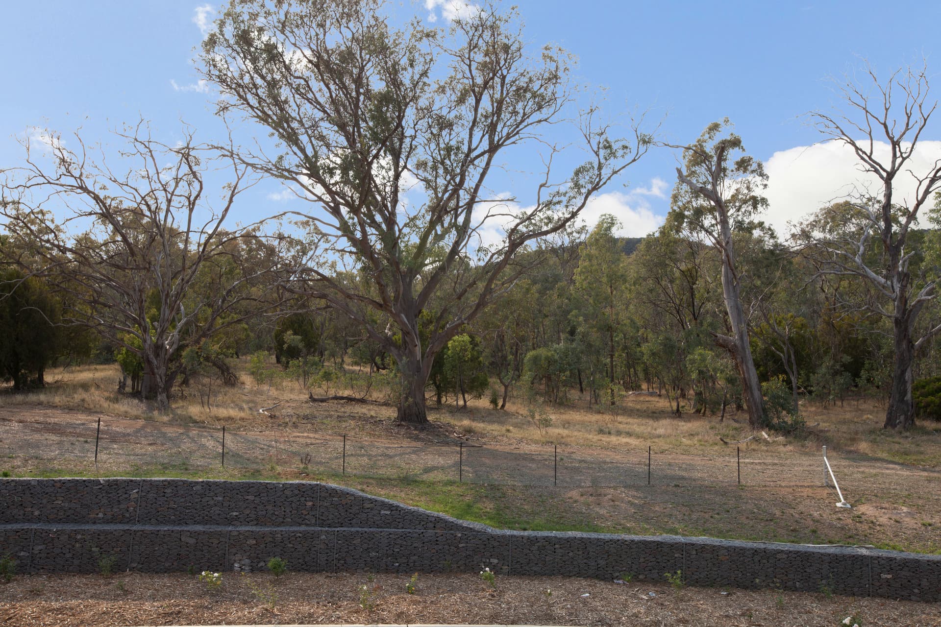 2/27 Ian Nicol Street, Watson ACT 2602, Watson - Thumbnail 5