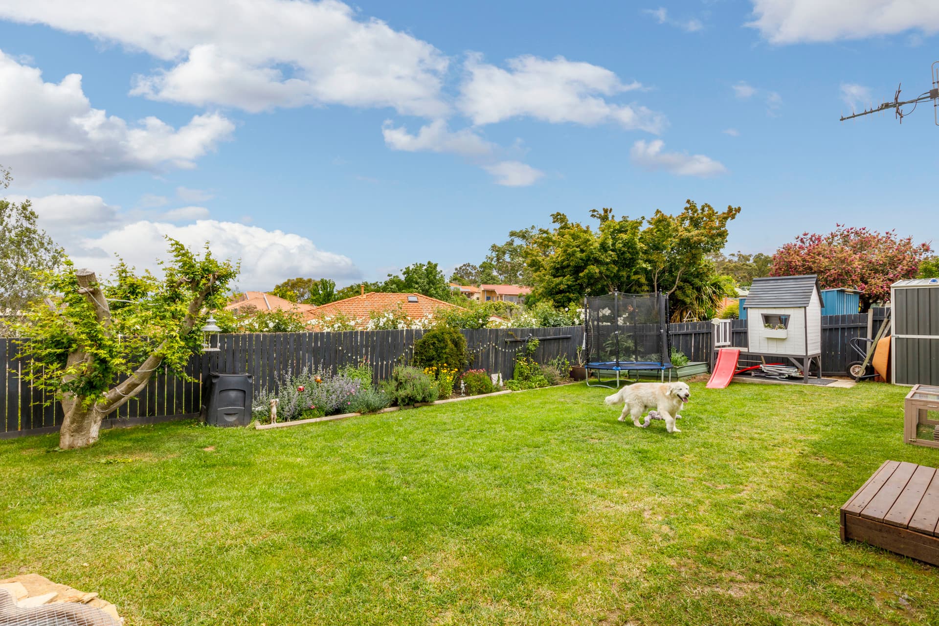 8 Mawalan Street, Ngunnawal ACT 2913, Ngunnawal - Thumbnail 8