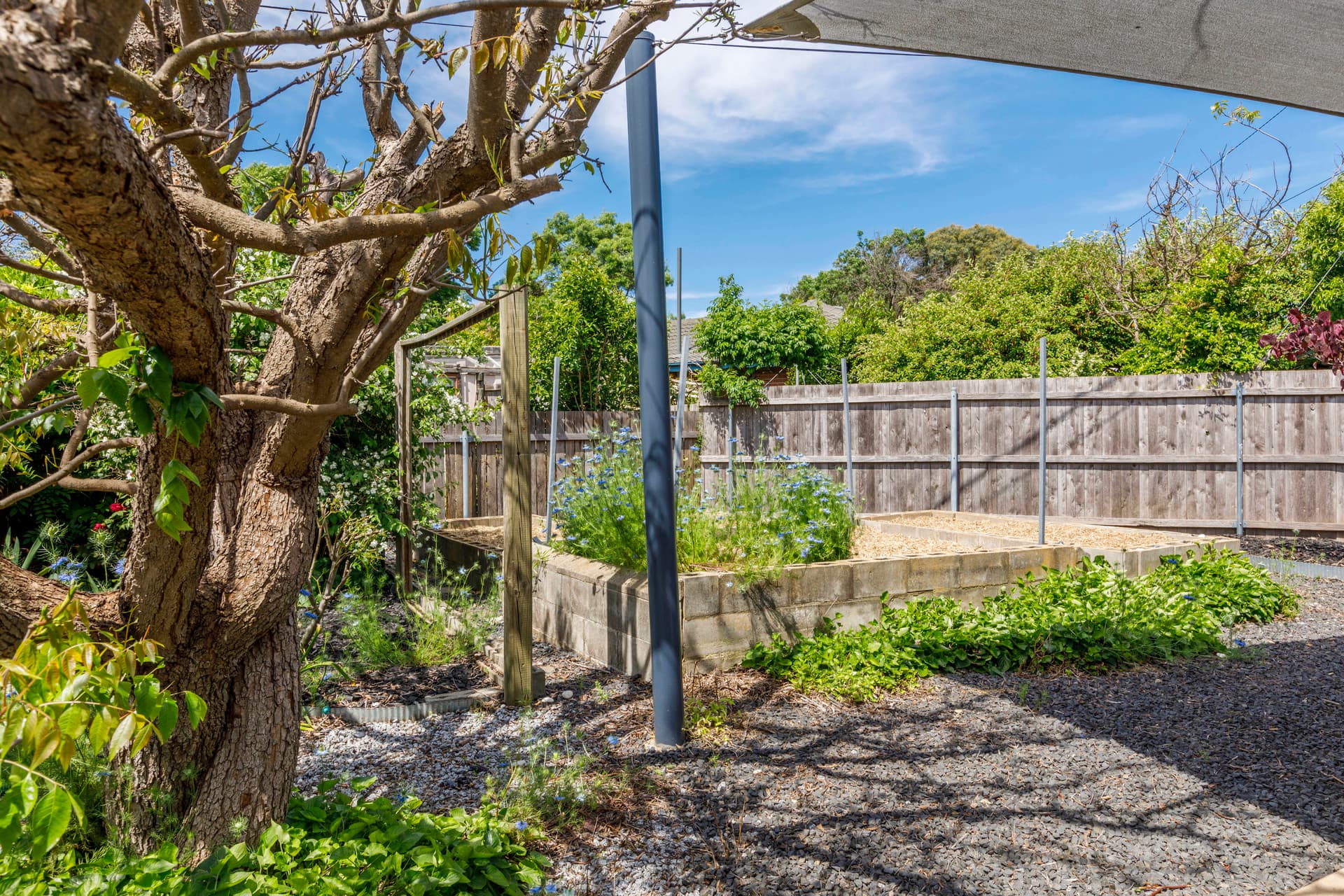 86 Atherton Street, Downer ACT 2602, Downer - Thumbnail 8