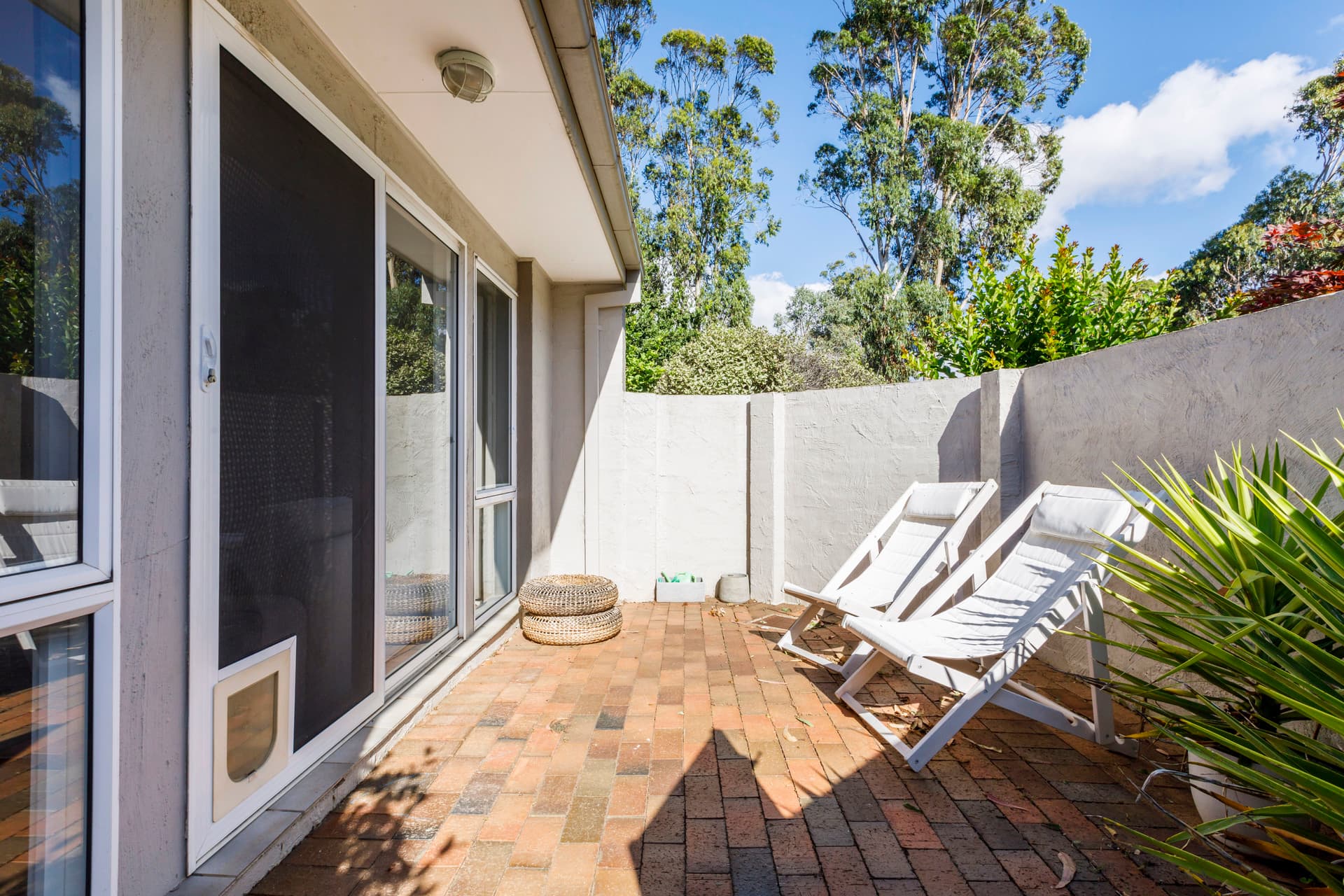36 Gunn Street, Yarralumla ACT 2600, Yarralumla - Thumbnail 6