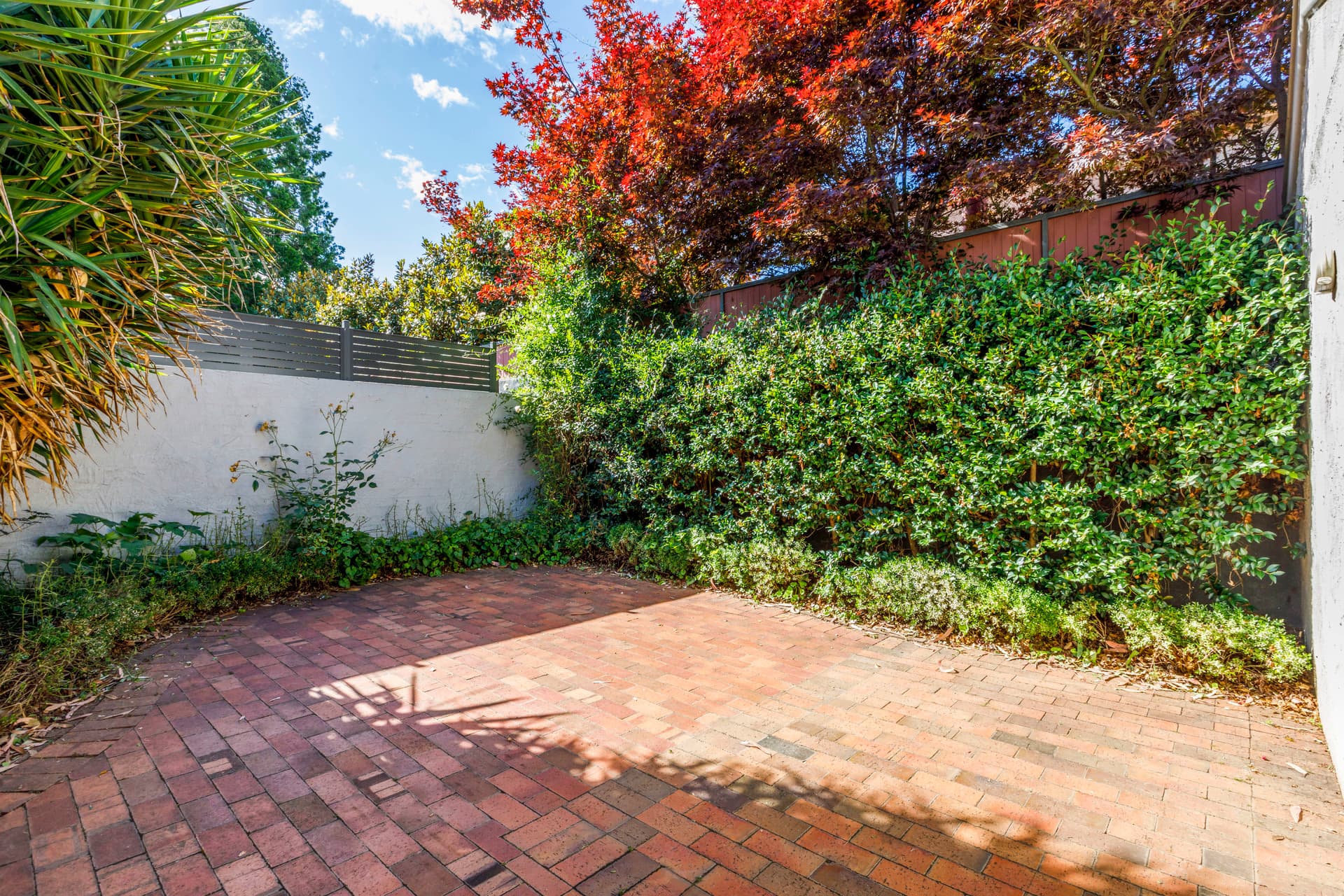 36 Gunn Street, Yarralumla ACT 2600, Yarralumla - Thumbnail 7