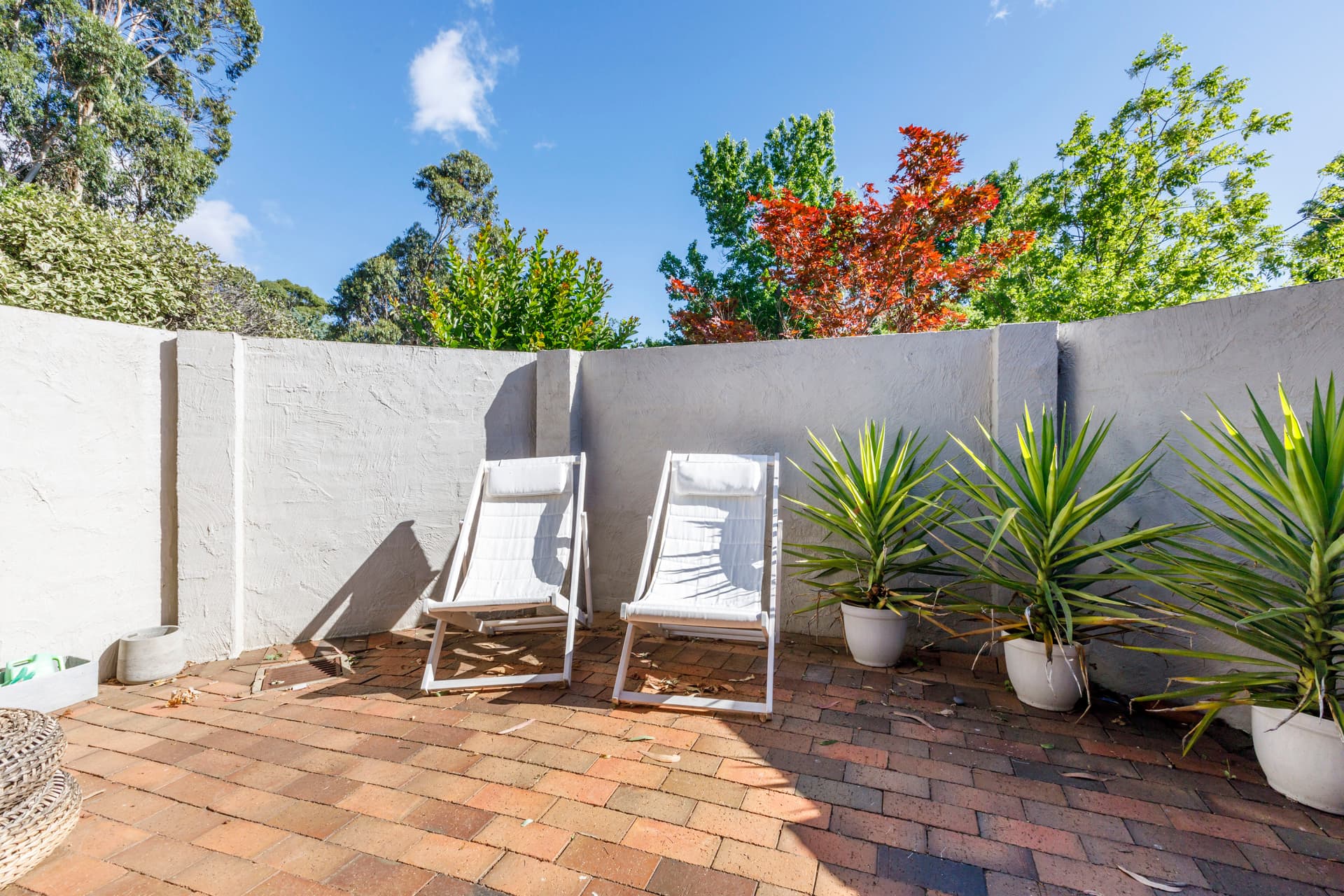 36 Gunn Street, Yarralumla ACT 2600, Yarralumla - Thumbnail 4