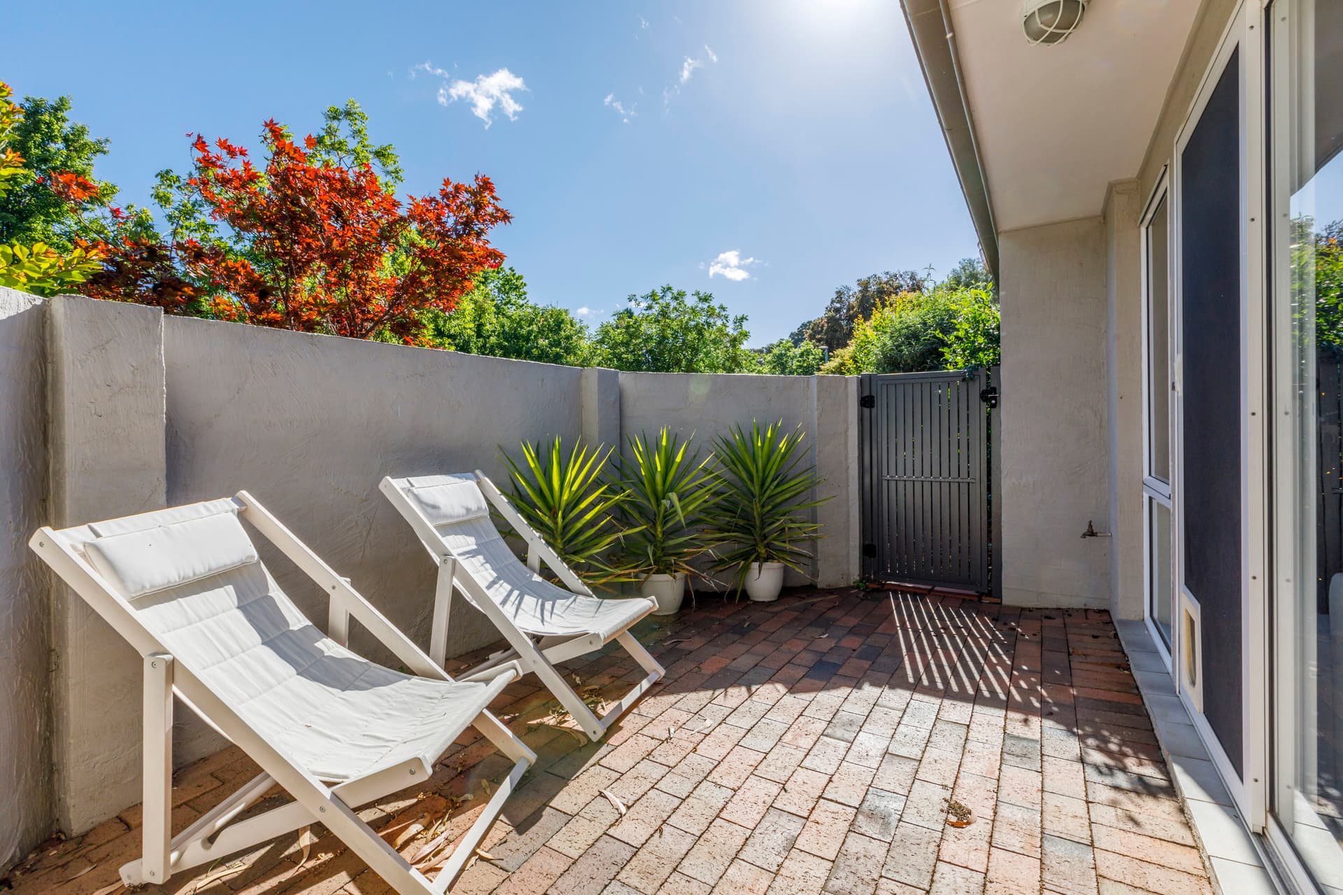 36 Gunn Street, Yarralumla ACT 2600, Yarralumla - Thumbnail 5