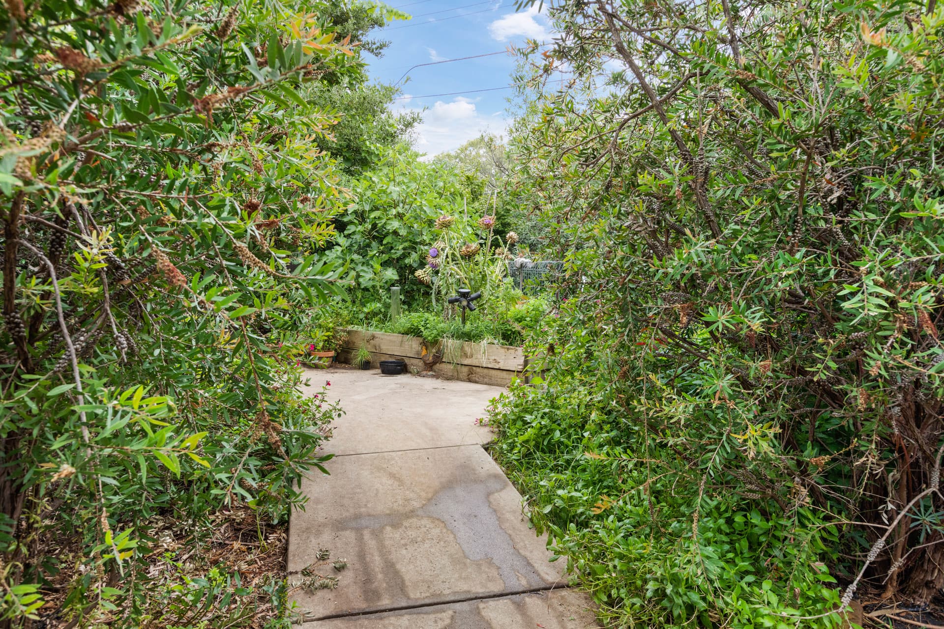 10 Calvert Street, Ainslie ACT 2602, Ainslie - Thumbnail 5