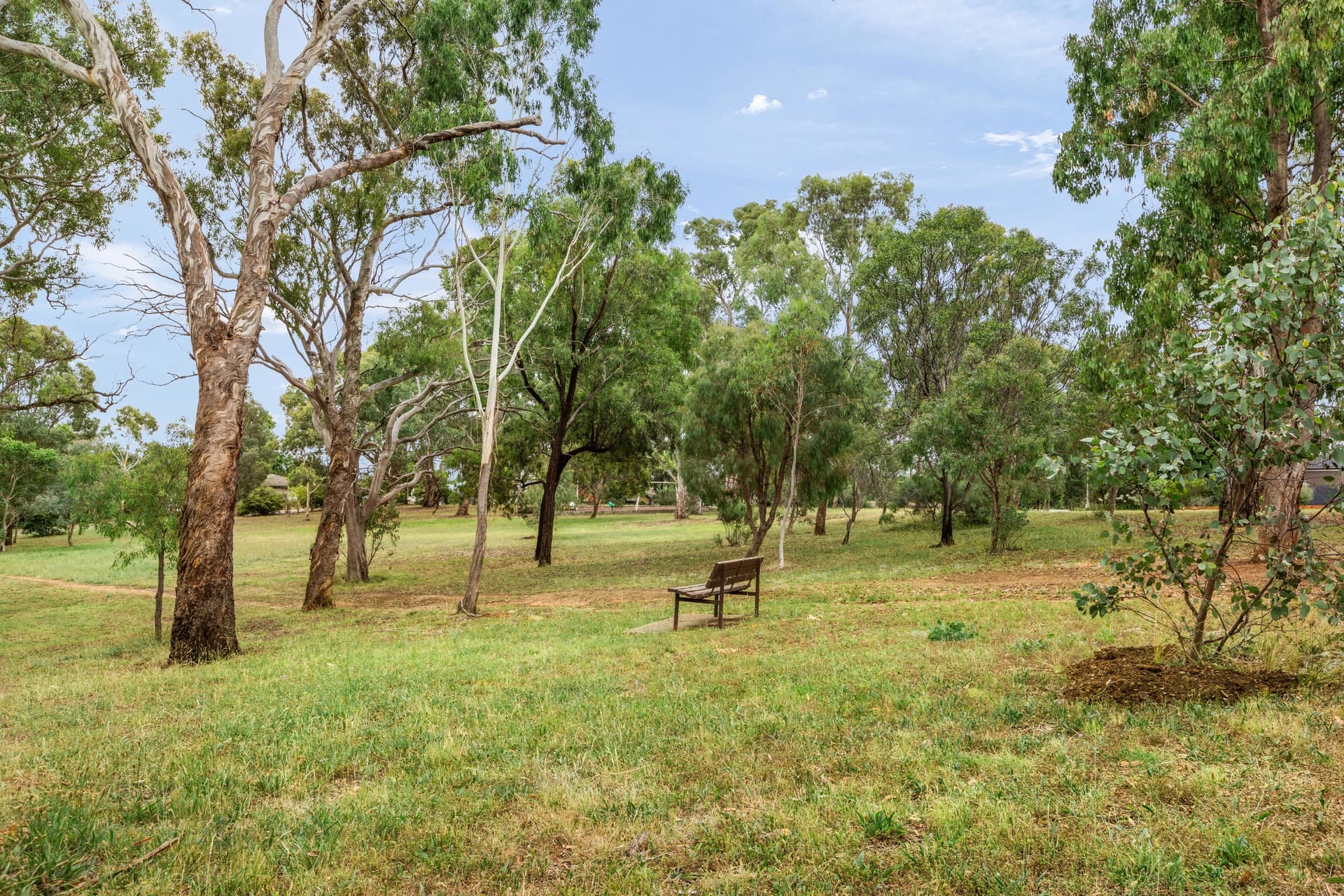 10 Calvert Street, Ainslie ACT 2602, Ainslie - Thumbnail 8