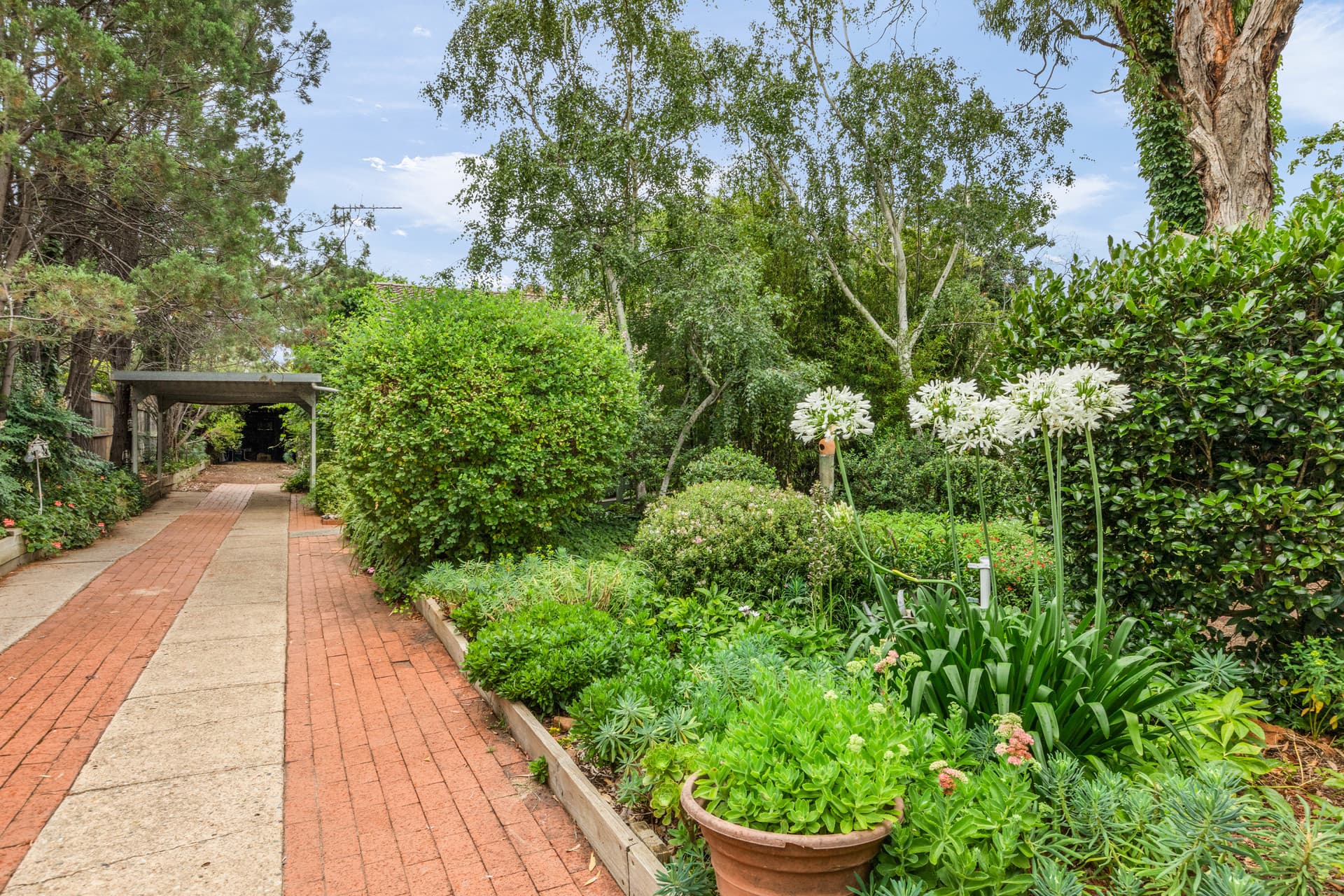 10 Calvert Street, Ainslie ACT 2602, Ainslie - Thumbnail 7