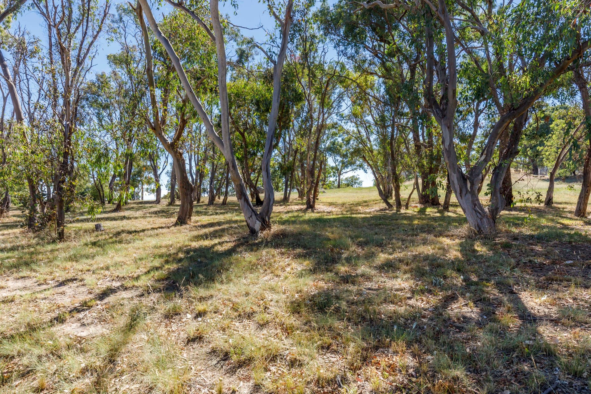 4 Scattergood Place, Spence ACT 2615, Spence - Thumbnail 8