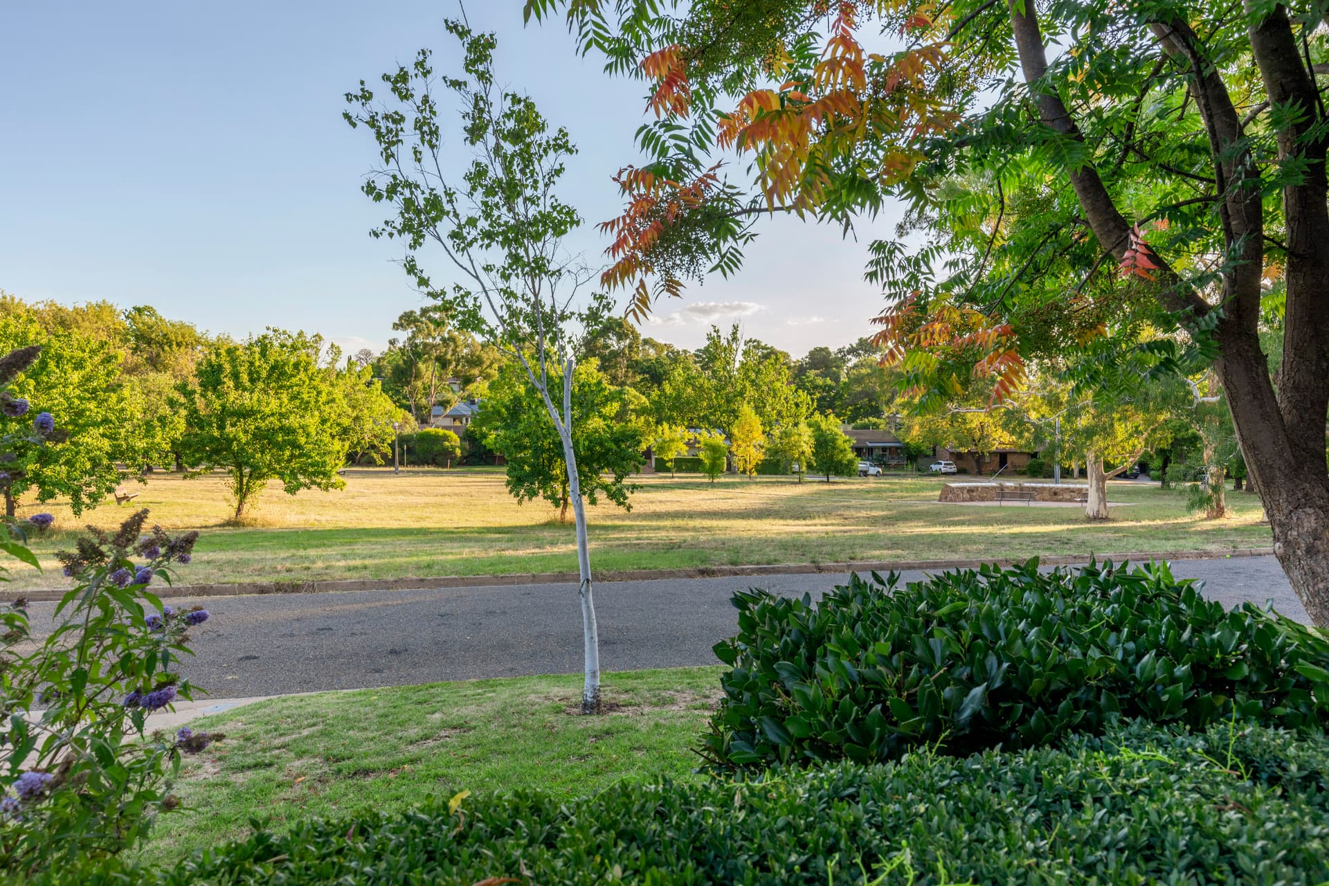 15 Moten Street, Campbell ACT 2612, Campbell - Thumbnail 8