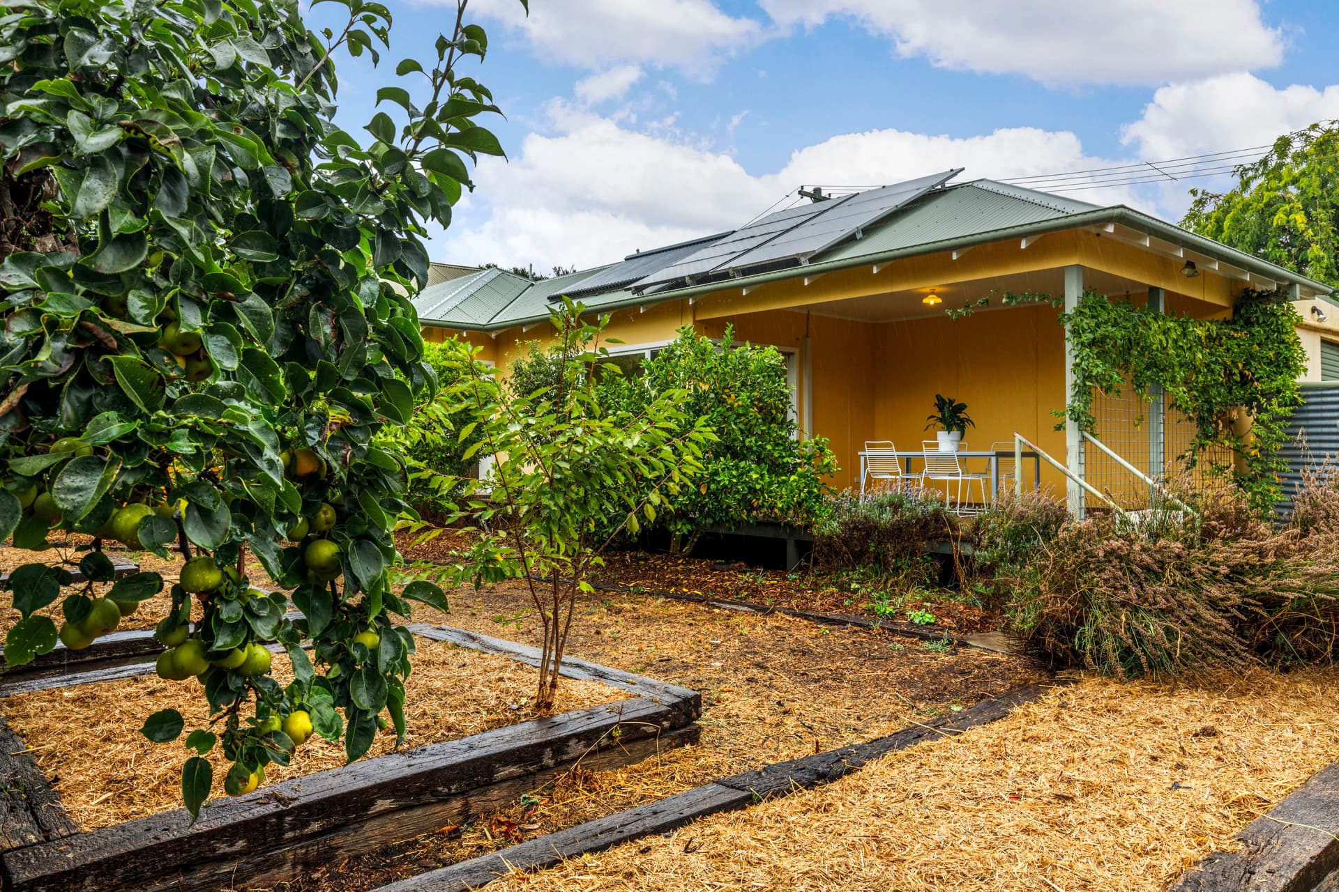 9 Bonney Street, Ainslie ACT 2602, Ainslie - Thumbnail 7