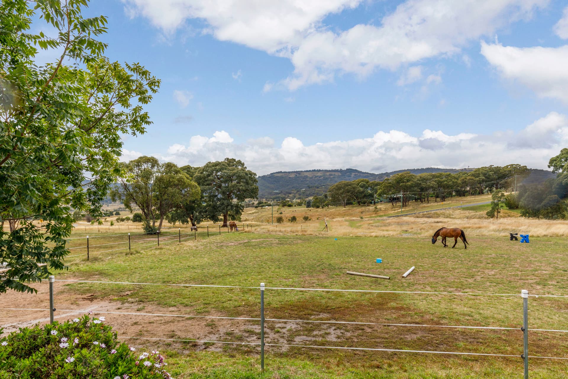 11 Saddle Place, Royalla NSW 2620, Royalla - Thumbnail 4