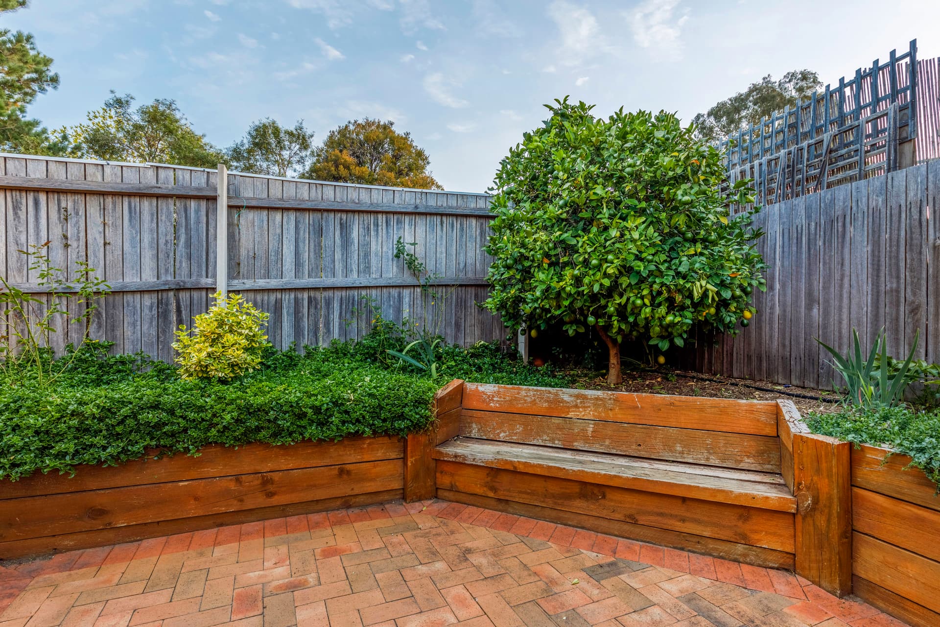 6 Acacia Place, Nicholls ACT 2913, Nicholls - Thumbnail 7