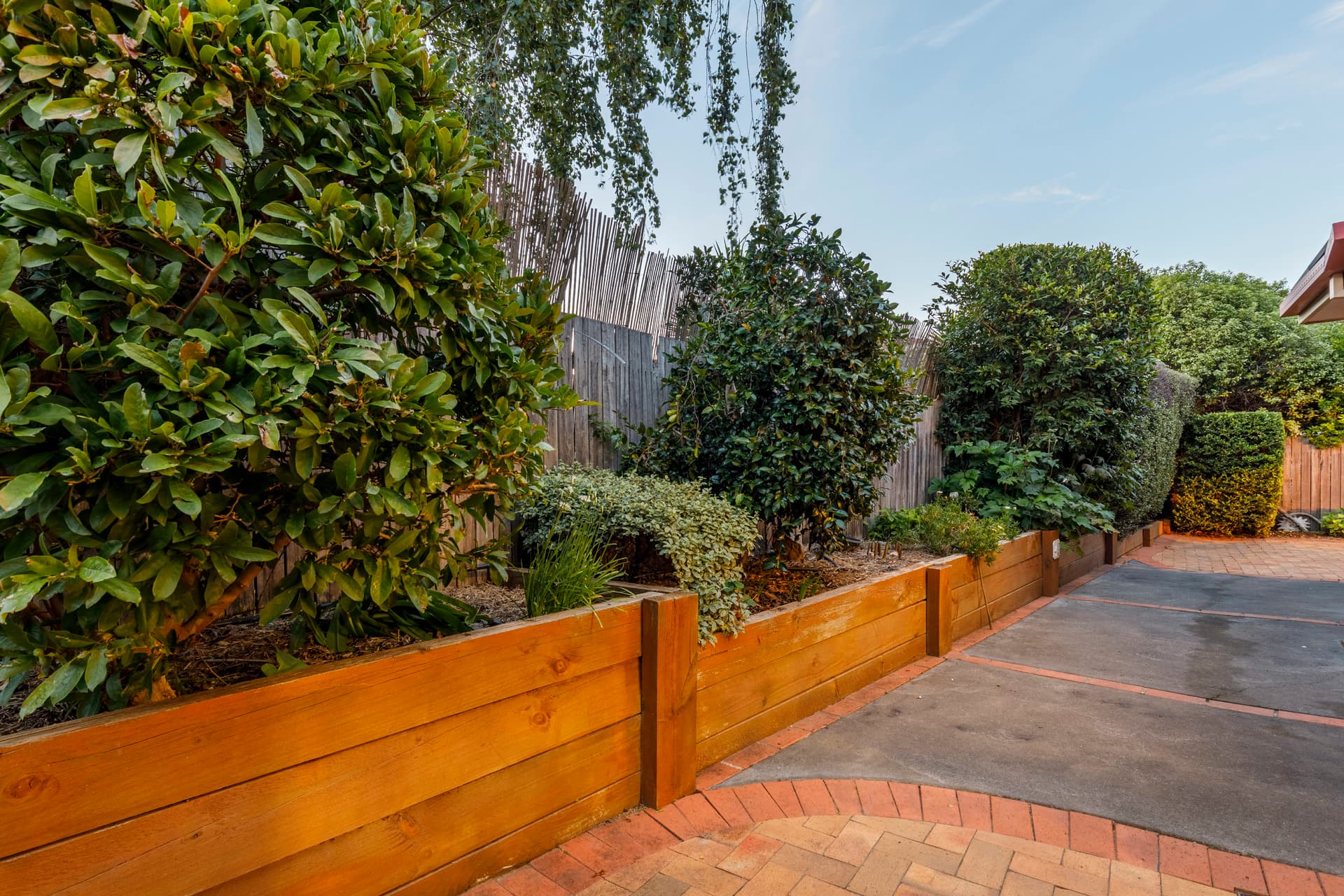 6 Acacia Place, Nicholls ACT 2913, Nicholls - Thumbnail 8