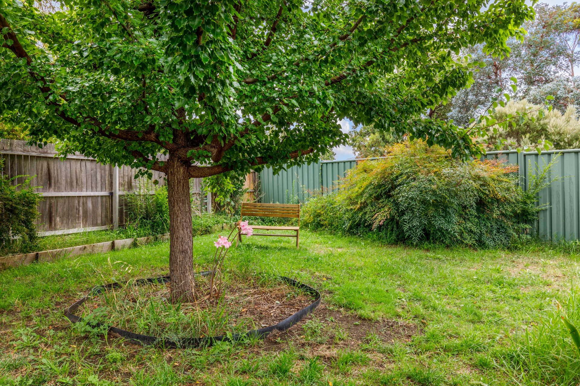 6 Masters Place, Kambah ACT 2902, Kambah - Thumbnail 5