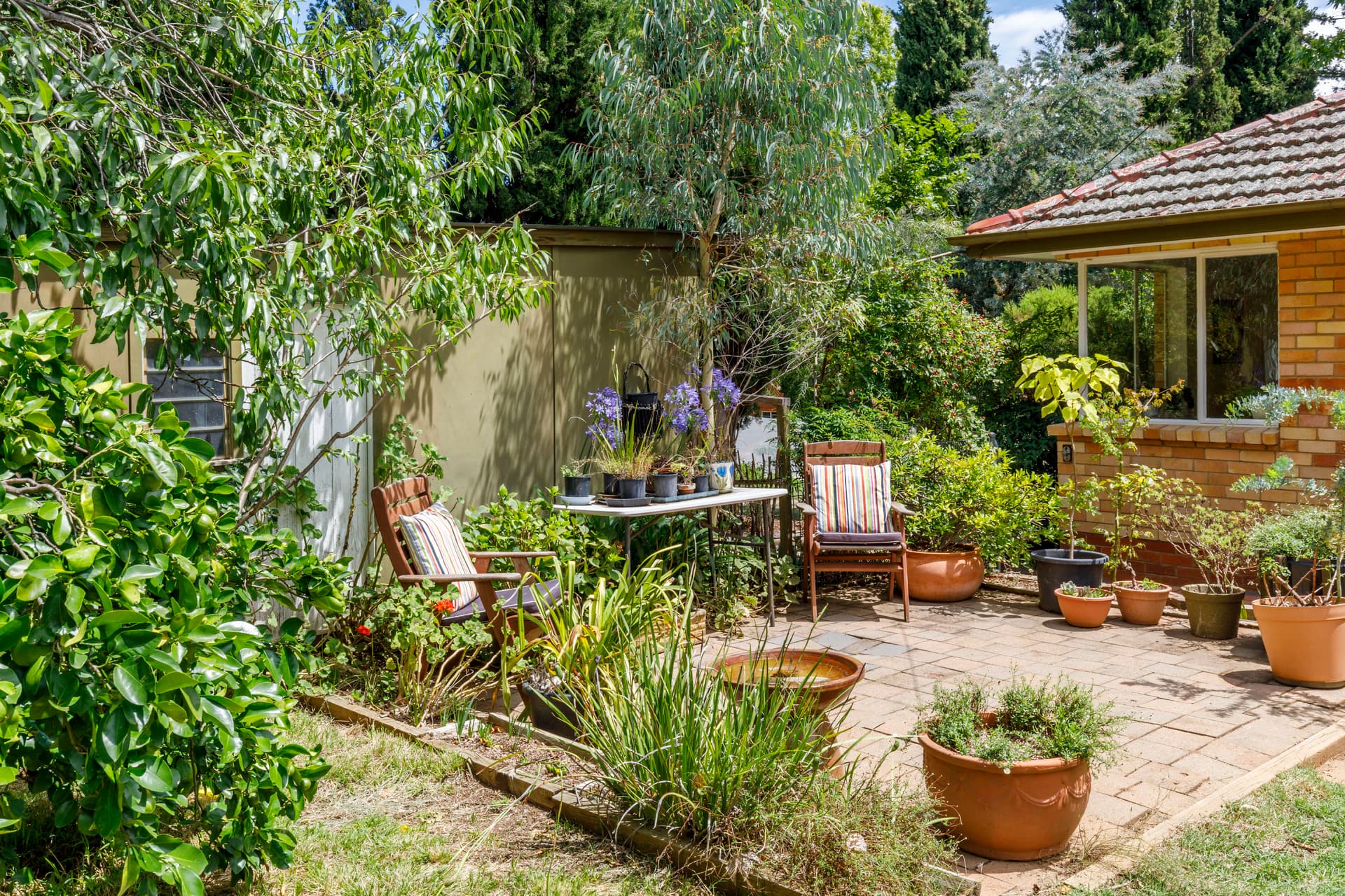 92 Duffy Street, Ainslie ACT 2602, Ainslie - Thumbnail 7