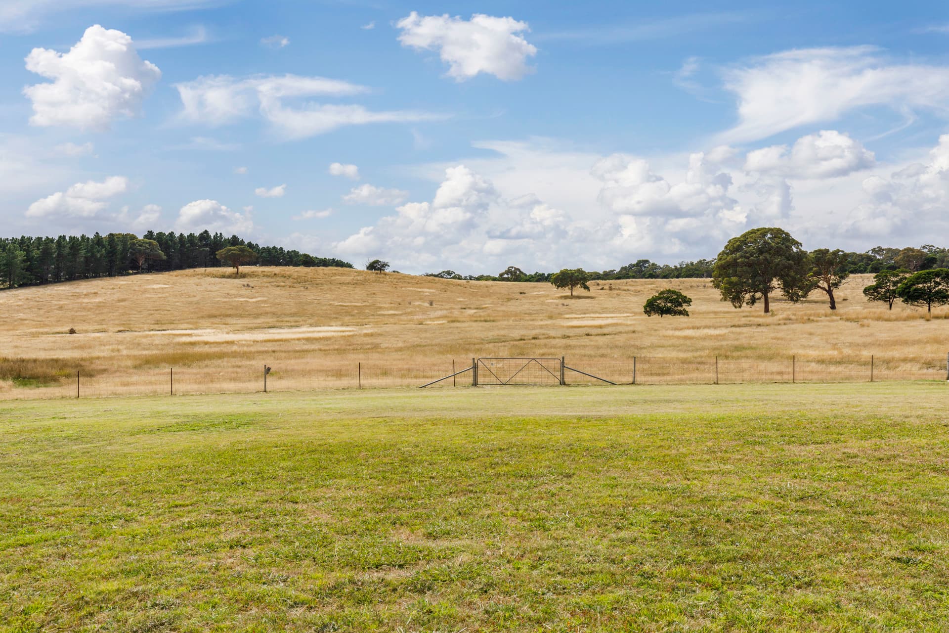 35 Essendon Road, Bungendore NSW 2621, Bungendore - Thumbnail 6