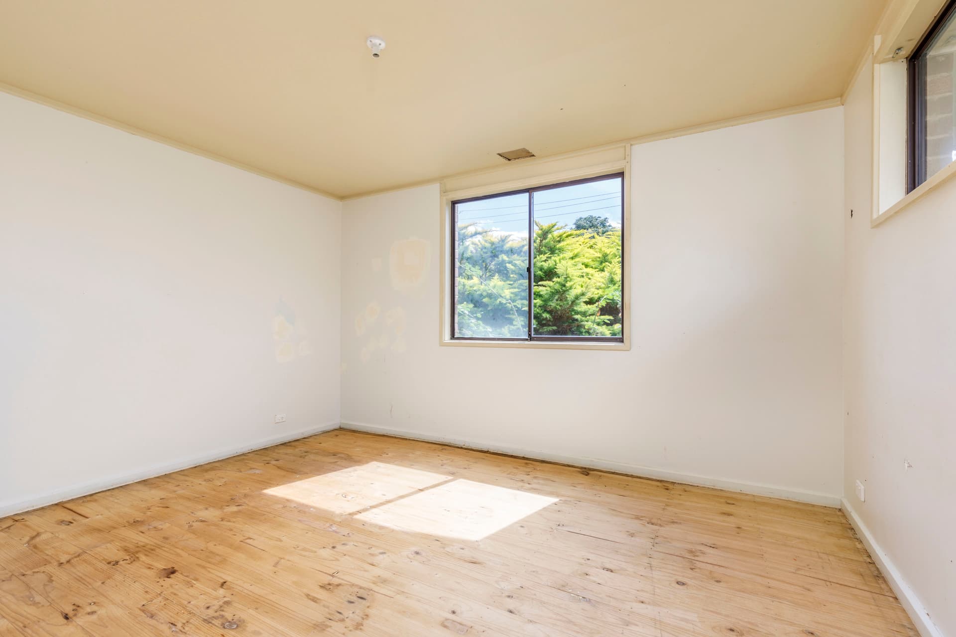 13 Braund Place, Kambah ACT 2902, Kambah - Thumbnail 2