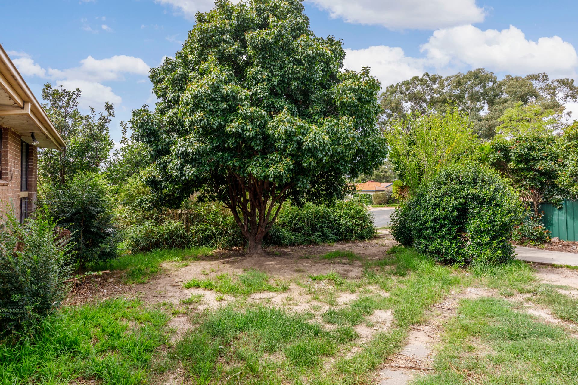 13 Braund Place, Kambah ACT 2902, Kambah - Thumbnail 5