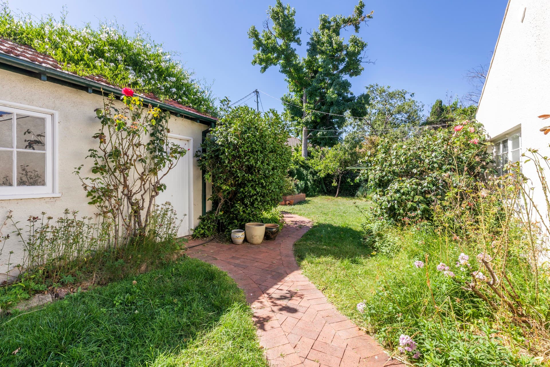 54 Limestone Avenue, Ainslie ACT 2602, Ainslie - Thumbnail 6