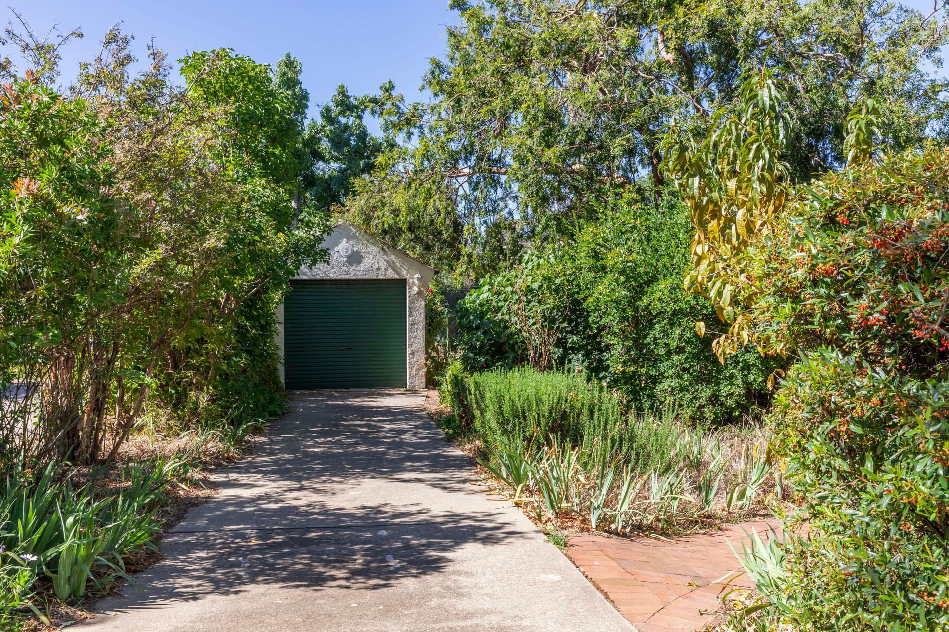 54 Limestone Avenue, Ainslie ACT 2602, Ainslie - Thumbnail 8