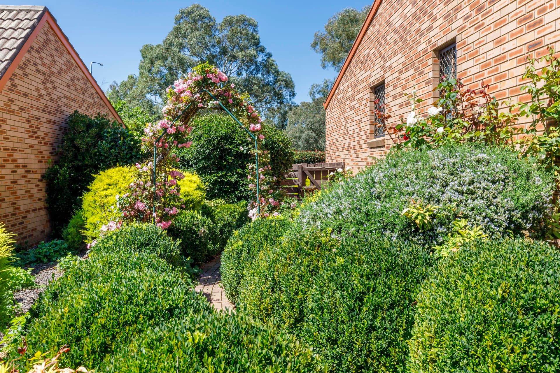 4/47 Foxall Street, Holder ACT 2611, Holder - Thumbnail 8