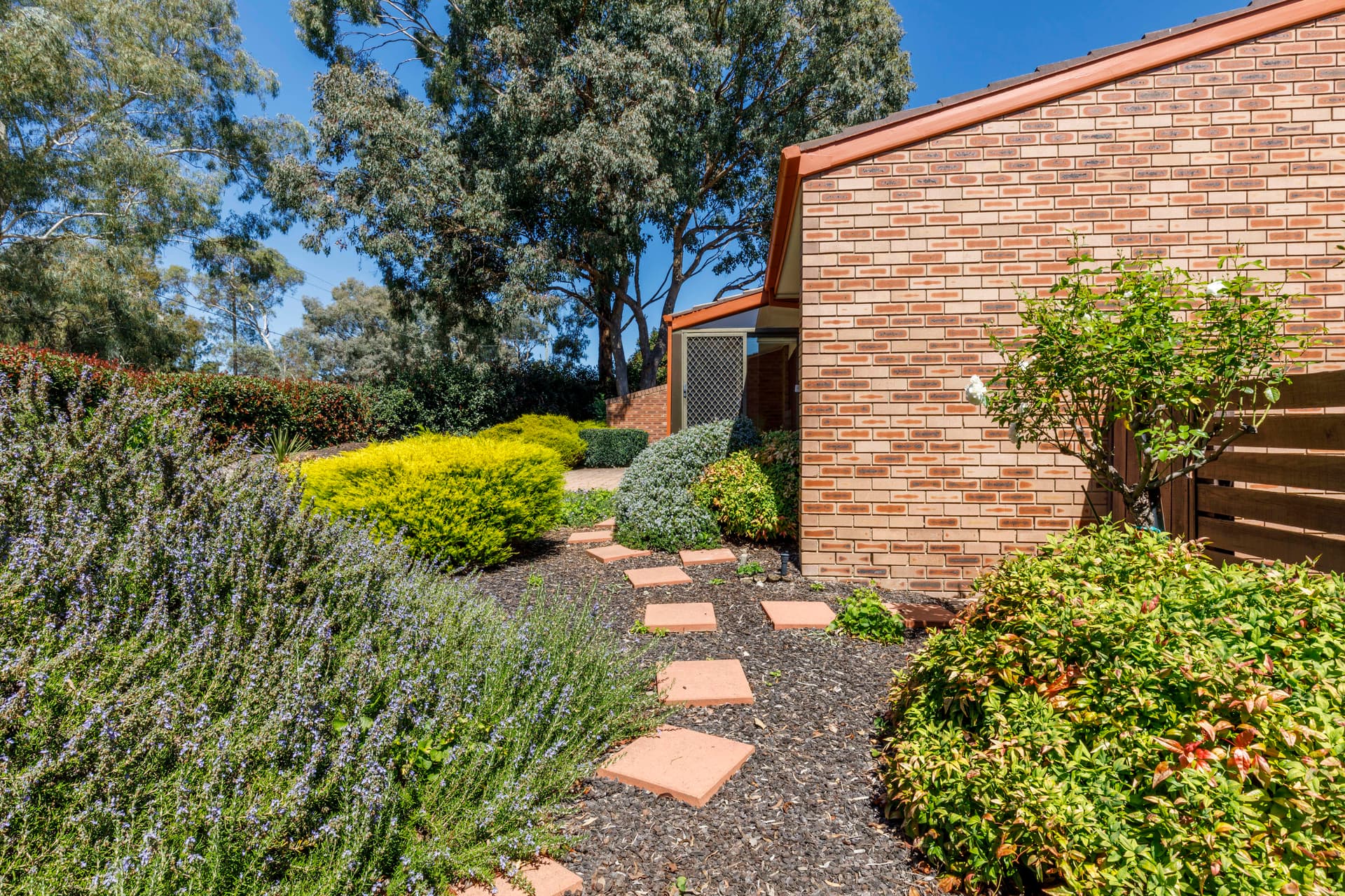 4/47 Foxall Street, Holder ACT 2611, Holder - Thumbnail 5