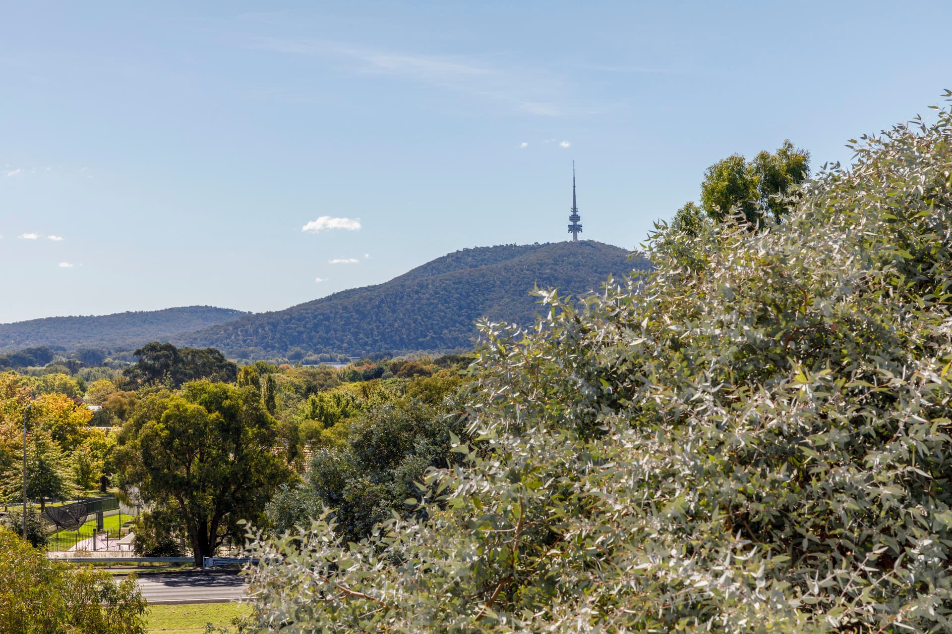 421/2 Grose Street, Deakin ACT 2600, Deakin - Thumbnail 6