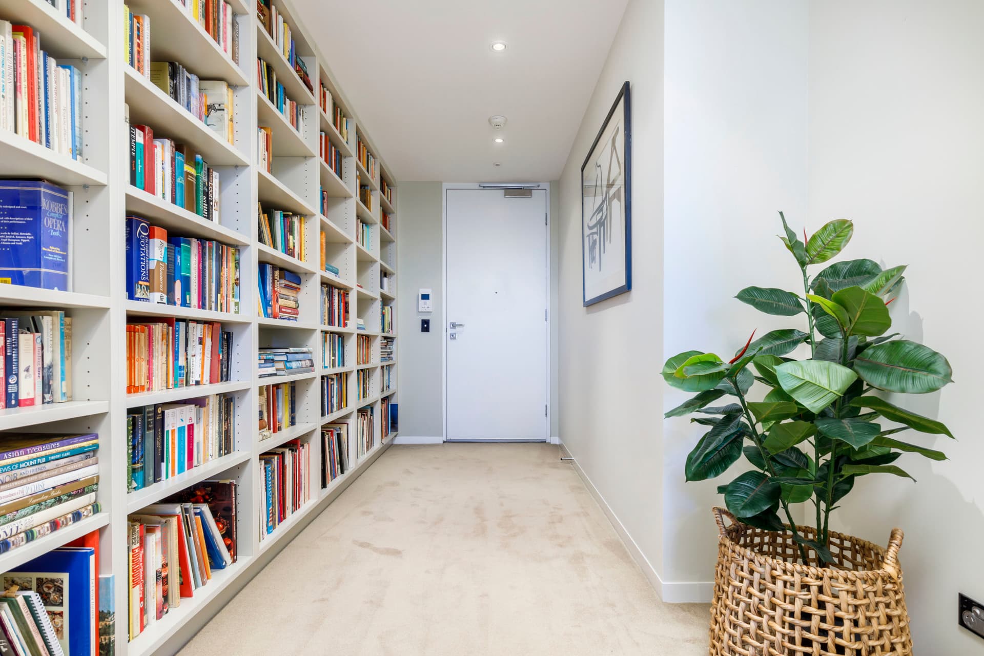 421/2 Grose Street, Deakin ACT 2600, Deakin - Thumbnail 4