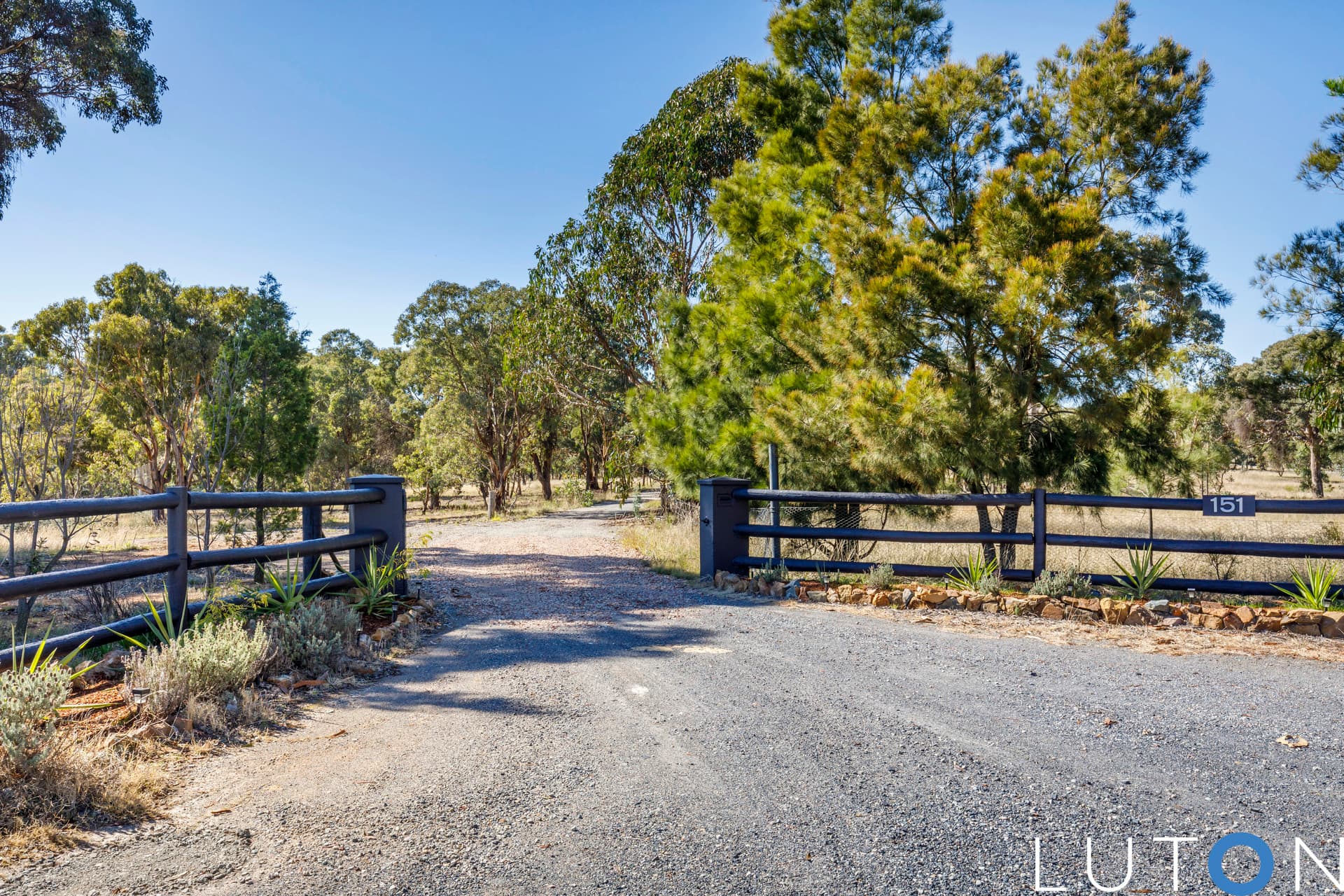 151 Bidges Road, Sutton NSW 2620, Sutton - Thumbnail 7