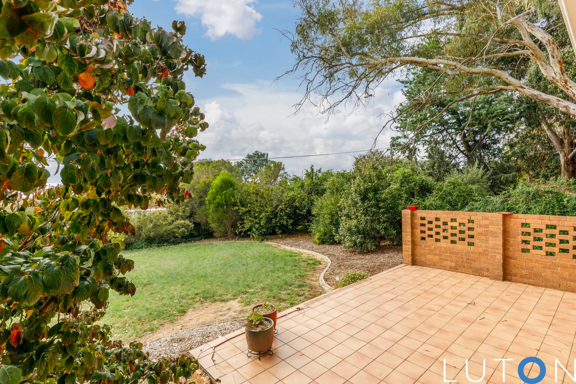 53 Springvale Drive, Weetangera ACT 2614, Weetangera - Thumbnail 4