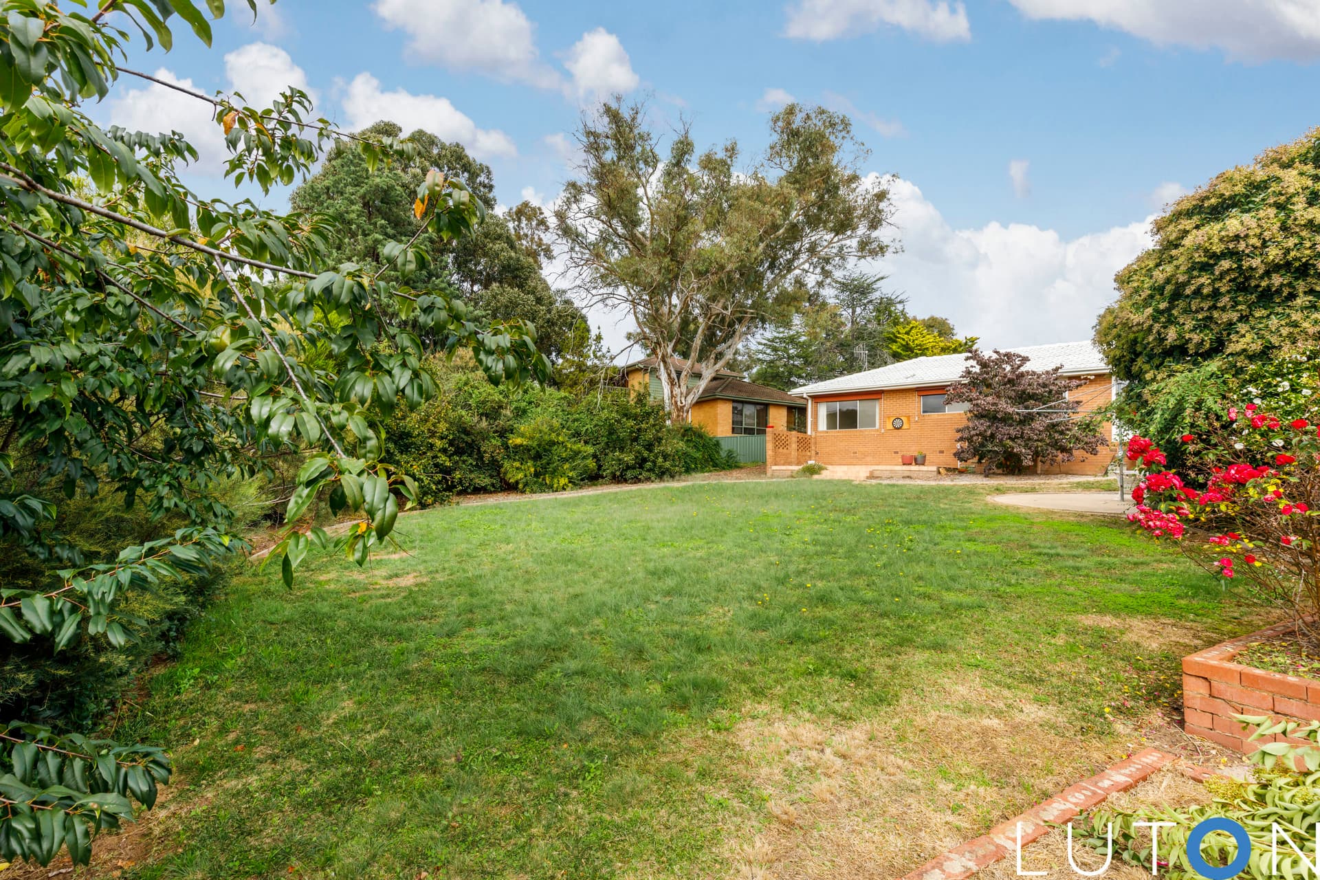53 Springvale Drive, Weetangera ACT 2614, Weetangera - Thumbnail 7