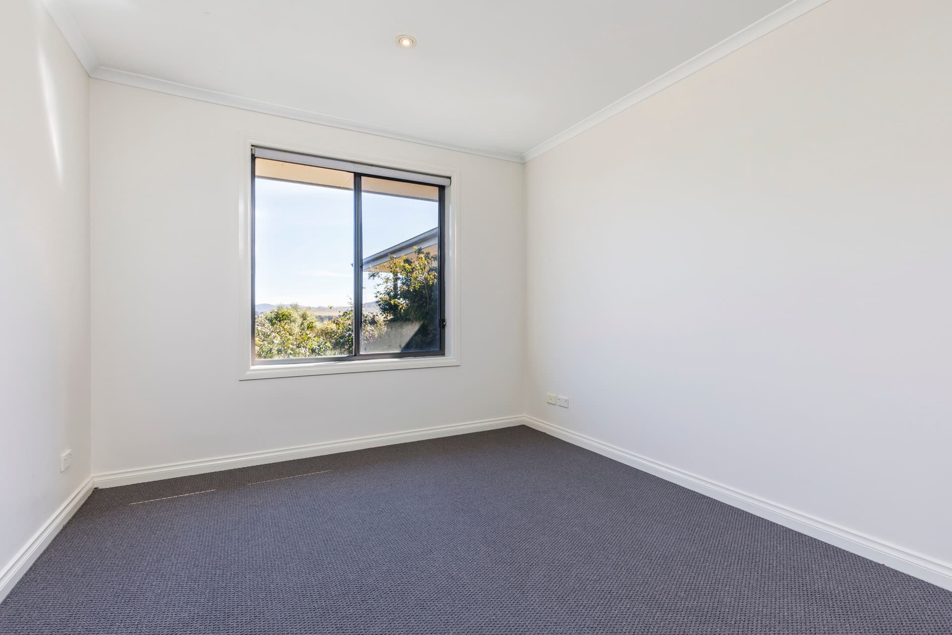 4 Counihan Court, Dunlop ACT 2615, Dunlop - Thumbnail 4