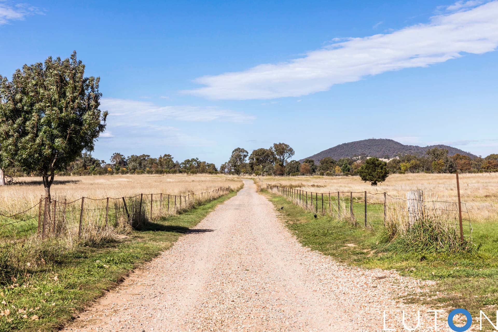 129 McKeahnie Lane, Sutton NSW 2620, Sutton - Thumbnail 4