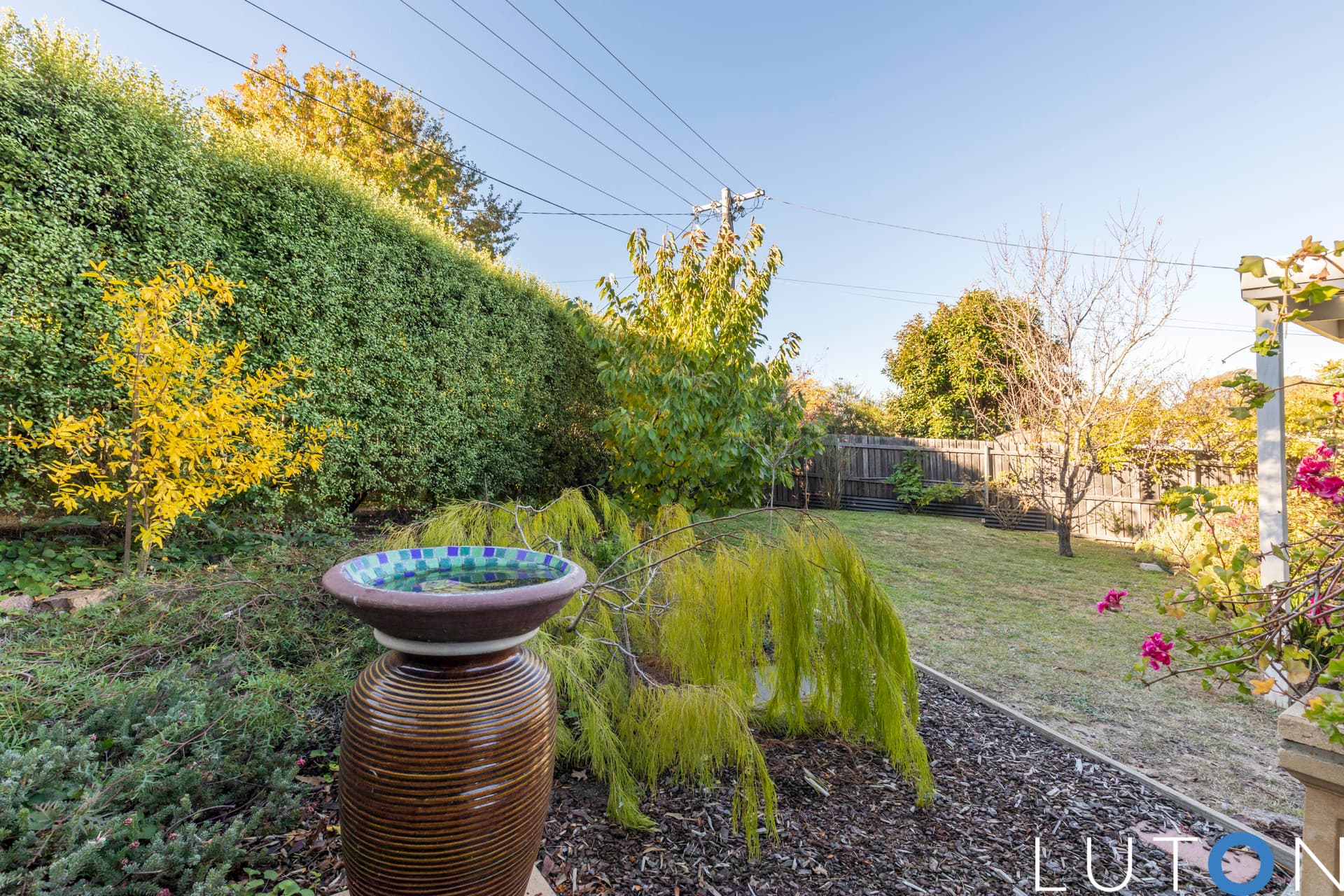 4 Sampson Close, Melba ACT 2615, Melba - Thumbnail 5