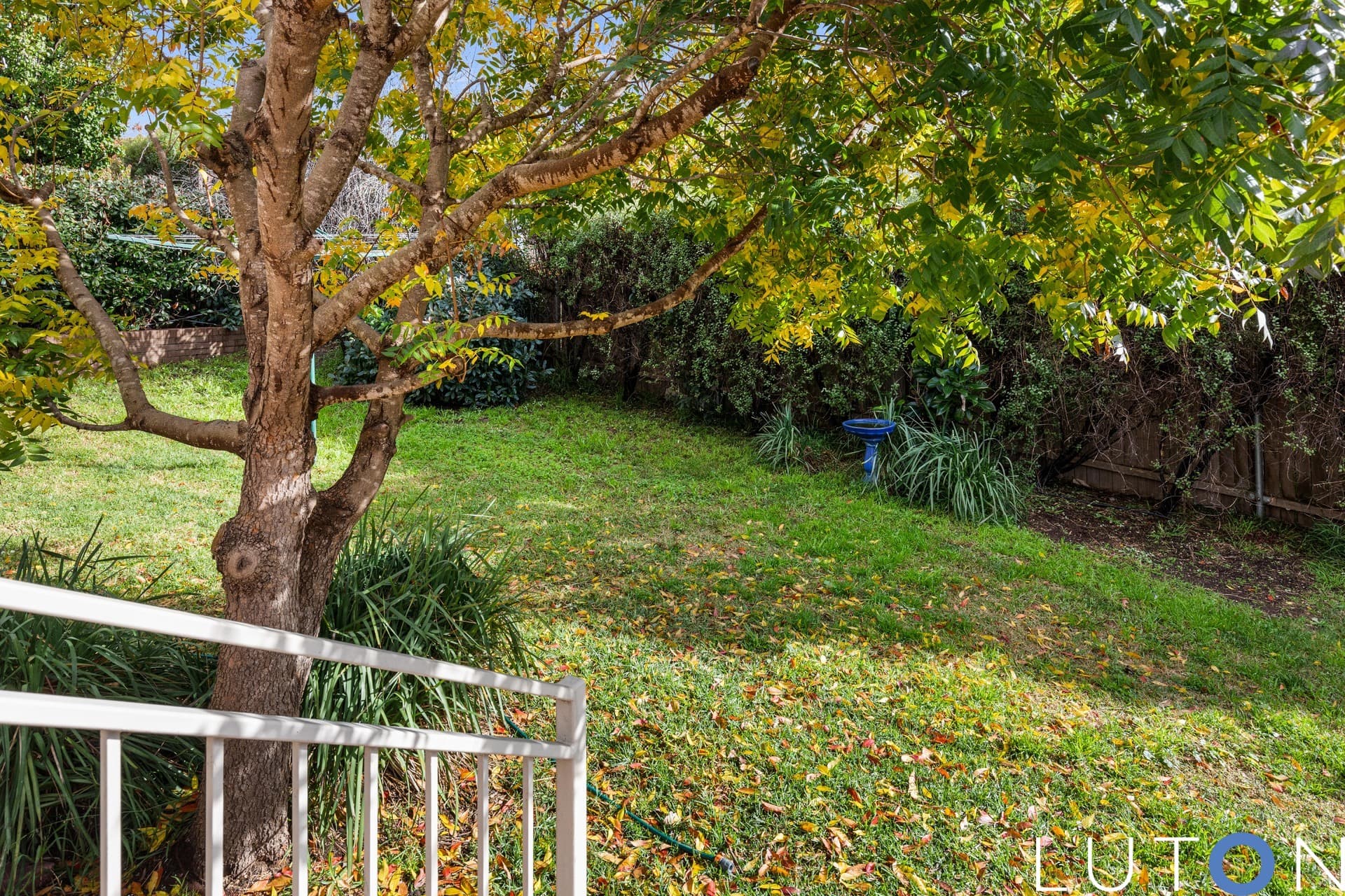 9 Renmark Street, Duffy ACT 2611, Duffy - Thumbnail 8