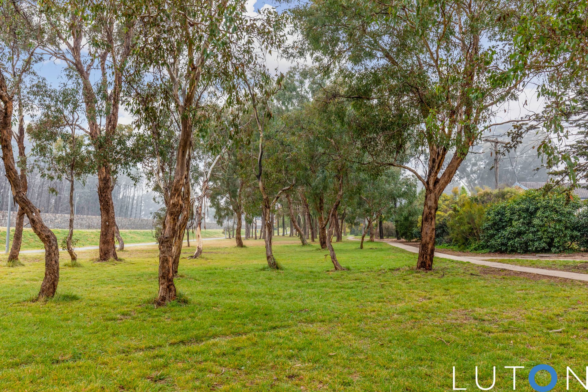 7 Byrnes Place, Curtin ACT 2605, Curtin - Thumbnail 6