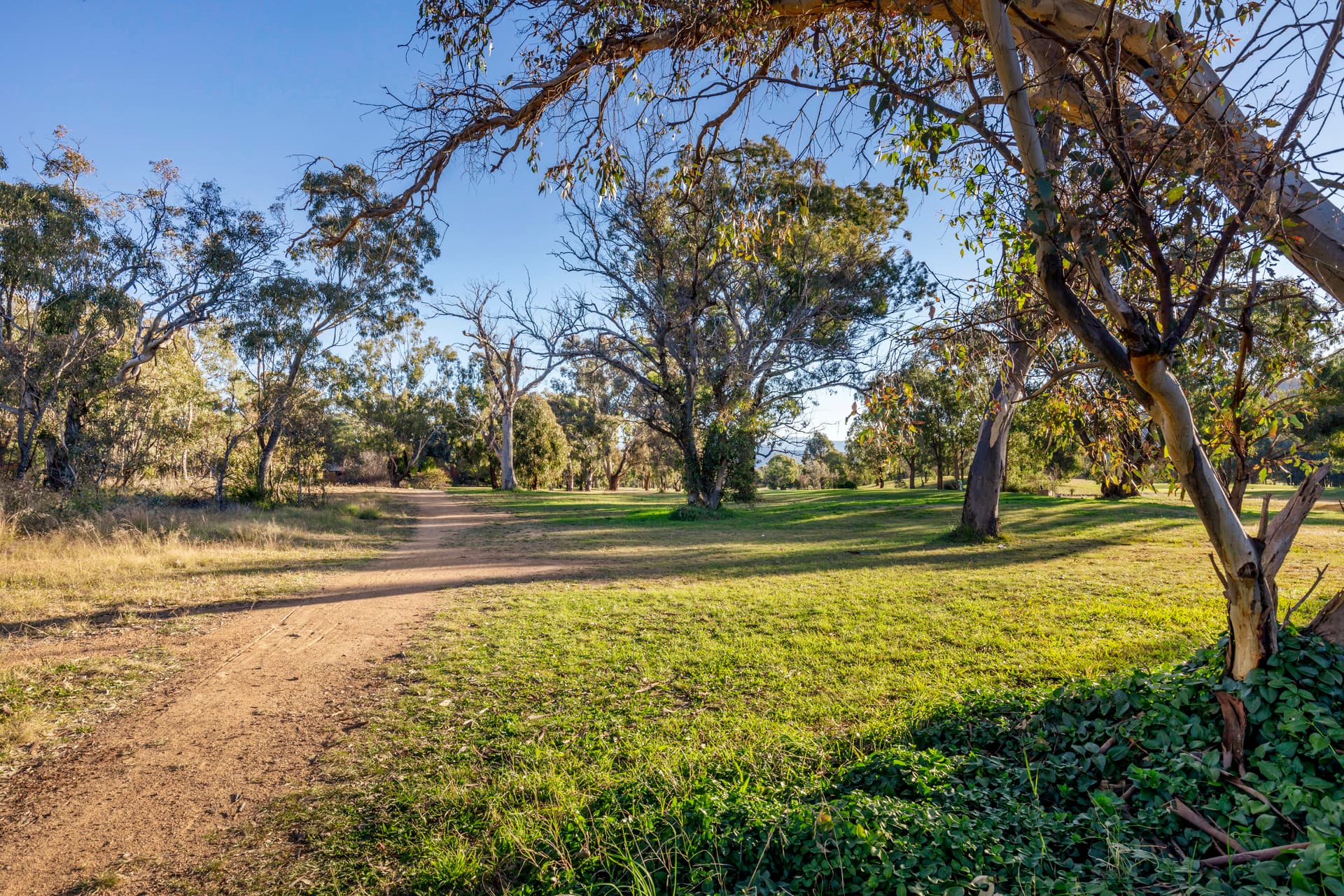 35 Drysdale Circuit, Kambah ACT 2902, Kambah - Thumbnail 7