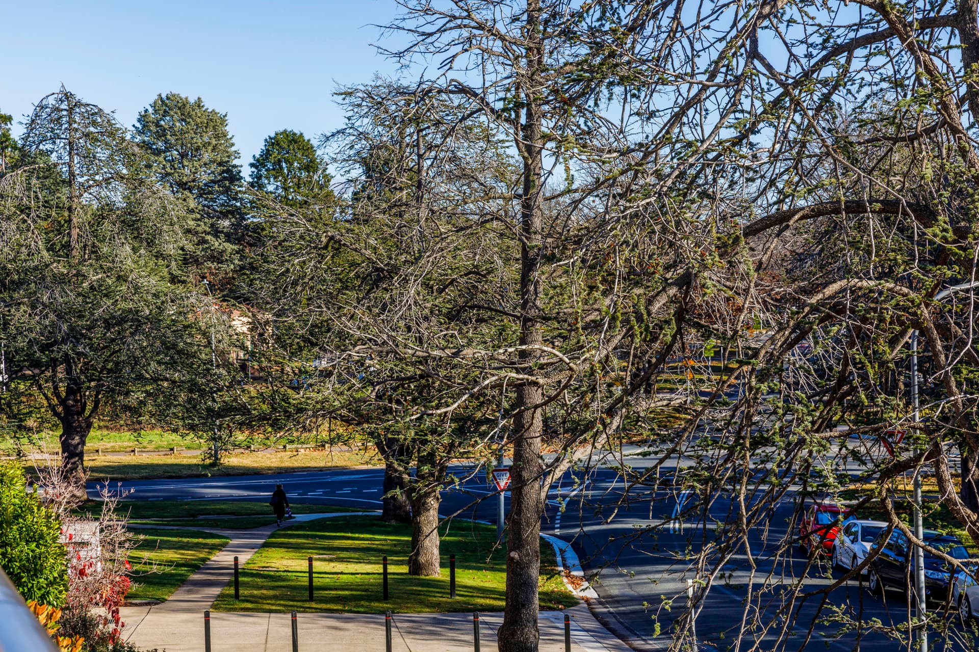 A3/2 Currie Crescent, Griffith ACT 2603, Griffith - Thumbnail 5