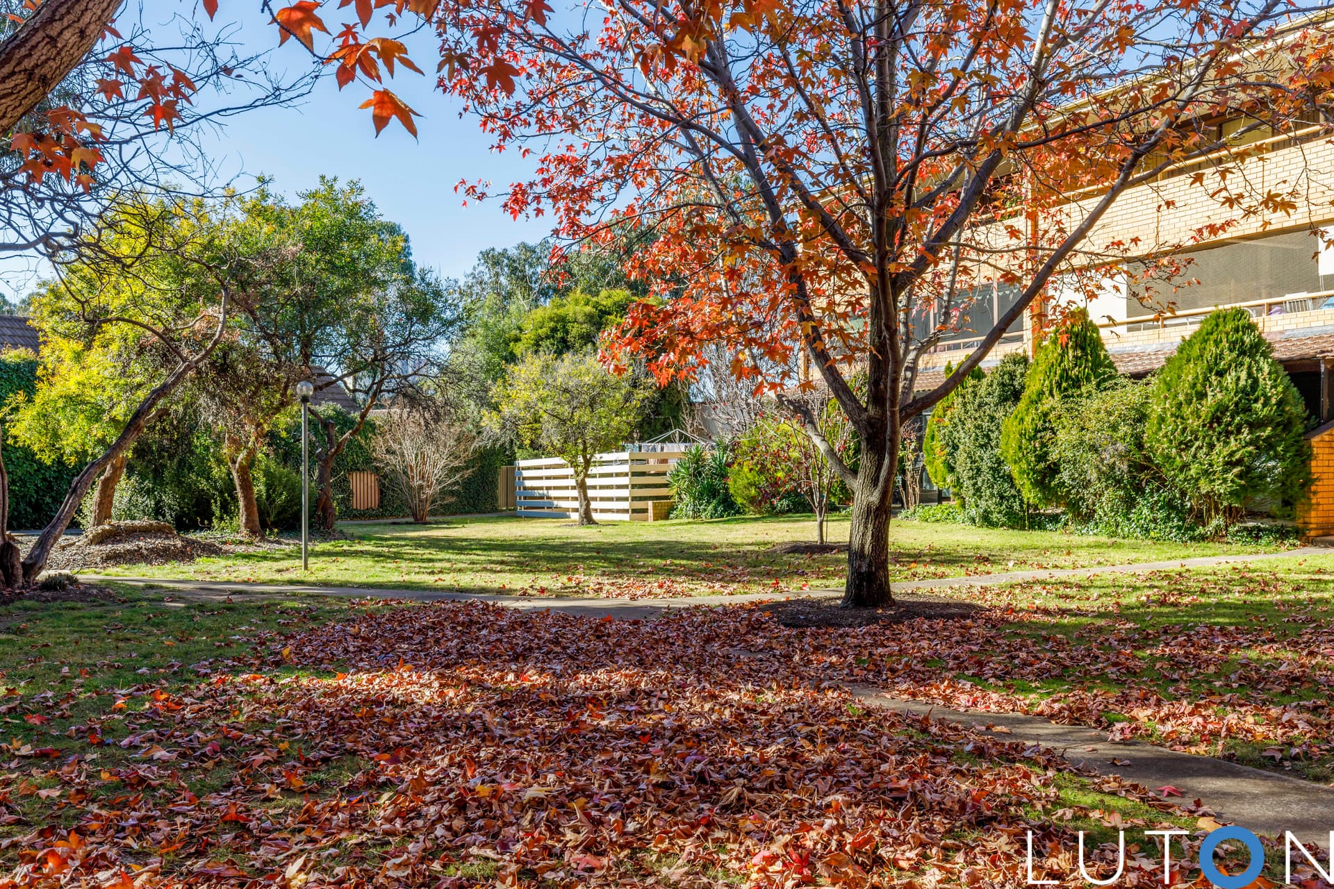 1/7 Medley Street, Chifley ACT 2606, Chifley - Thumbnail 6
