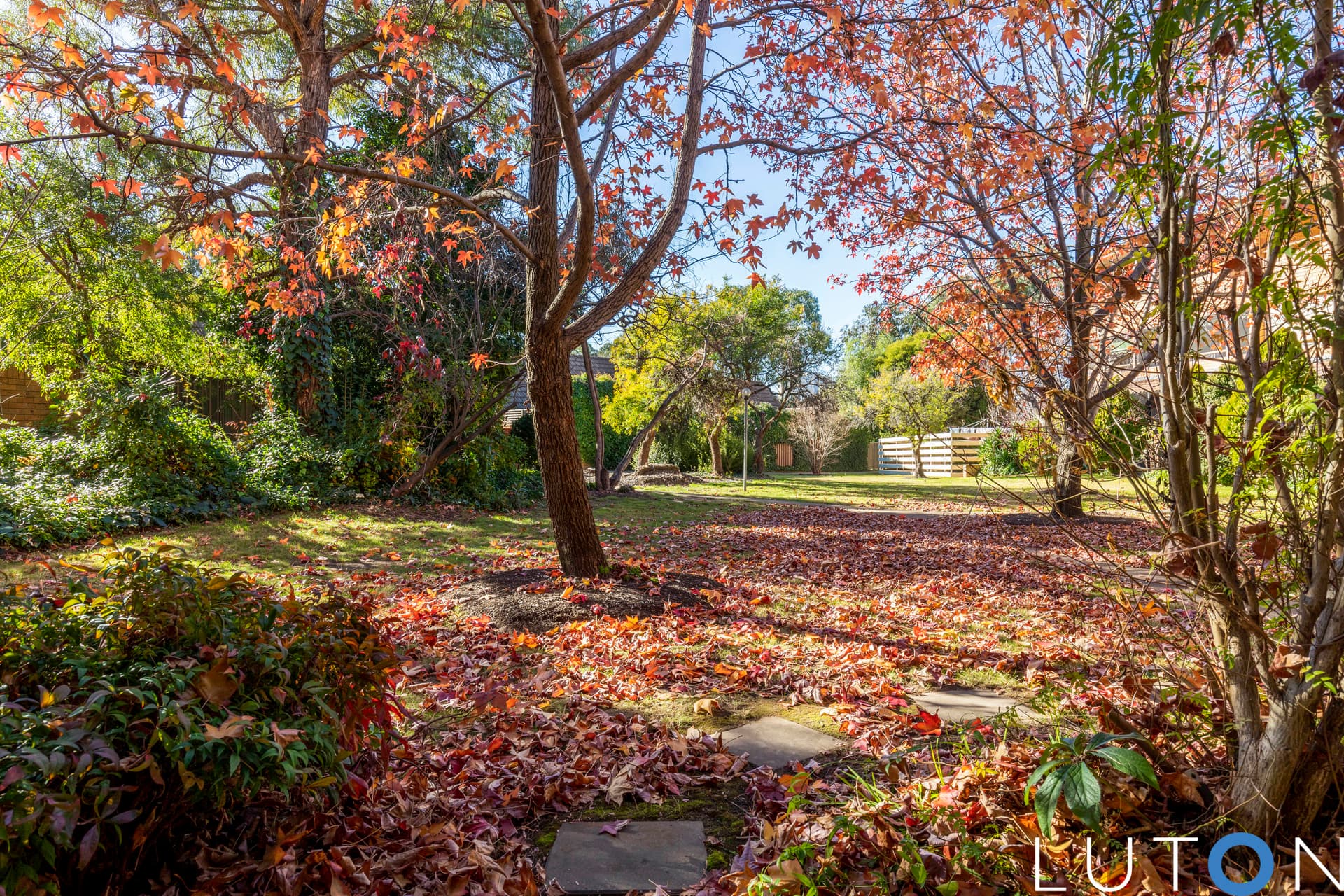 1/7 Medley Street, Chifley ACT 2606, Chifley - Thumbnail 4