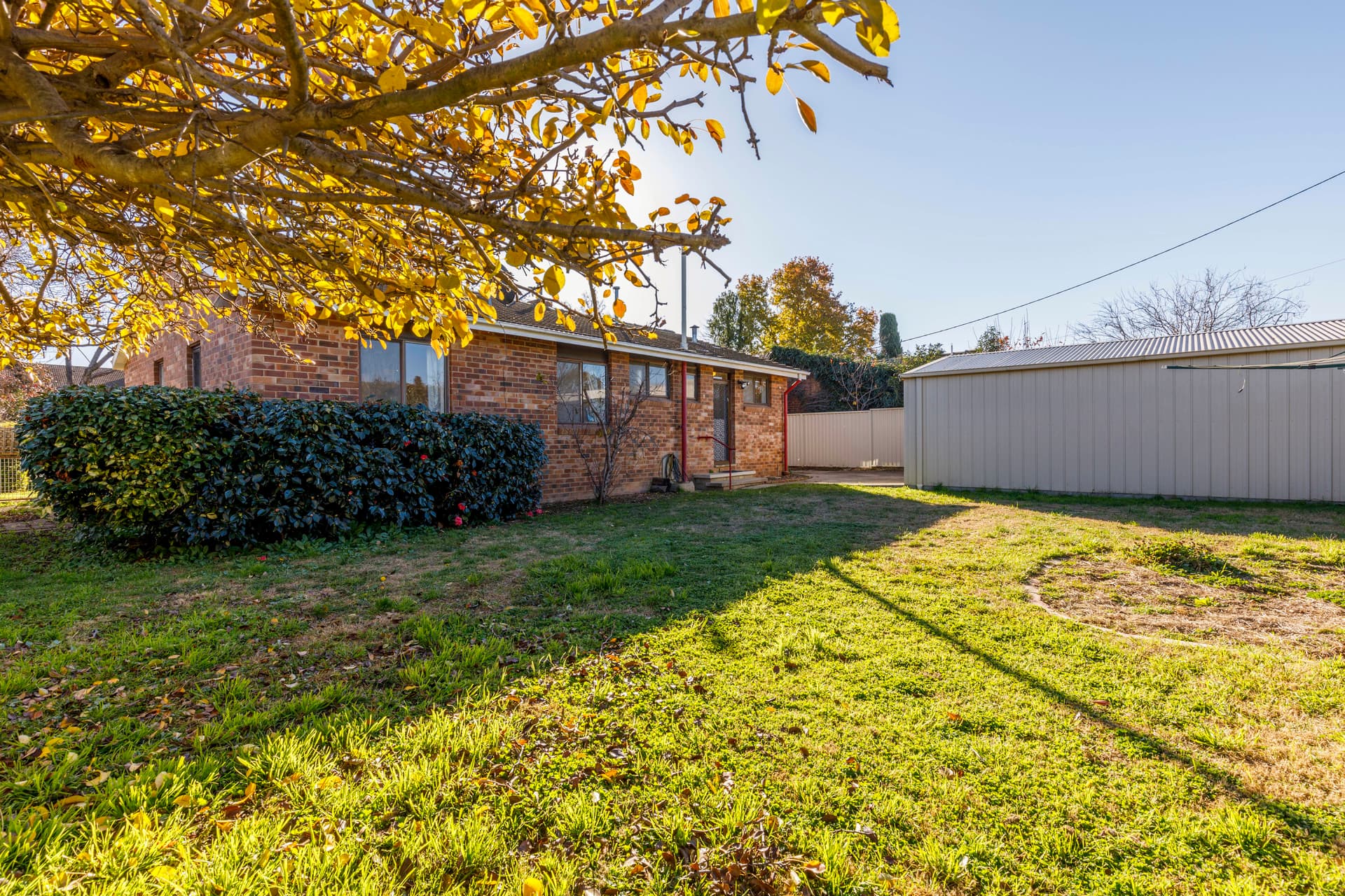 8 Lowrie Street, Dickson ACT 2602, Dickson - Thumbnail 5