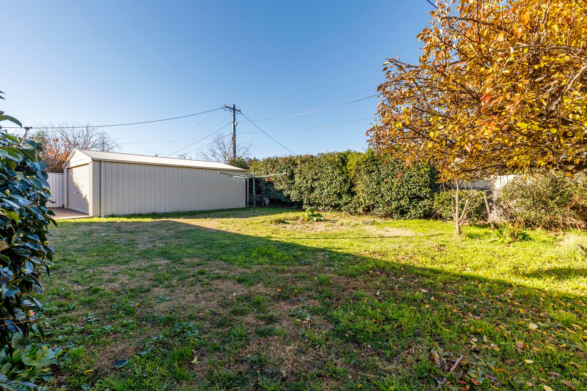 8 Lowrie Street, Dickson ACT 2602, Dickson - Thumbnail 6