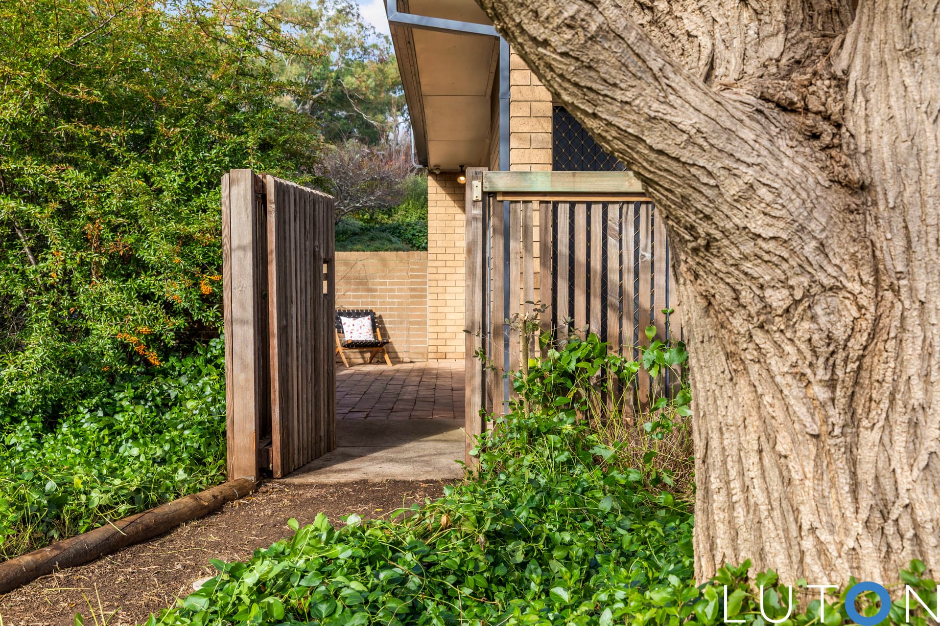 50 Bungonia Street, Narrabundah ACT 2604, Narrabundah - Thumbnail 6