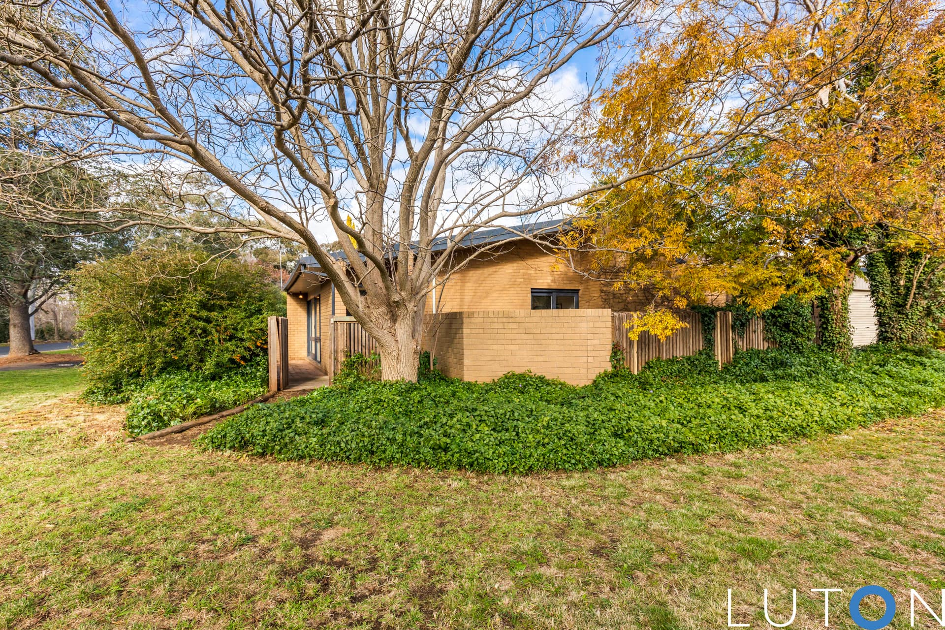 50 Bungonia Street, Narrabundah ACT 2604, Narrabundah - Thumbnail 8