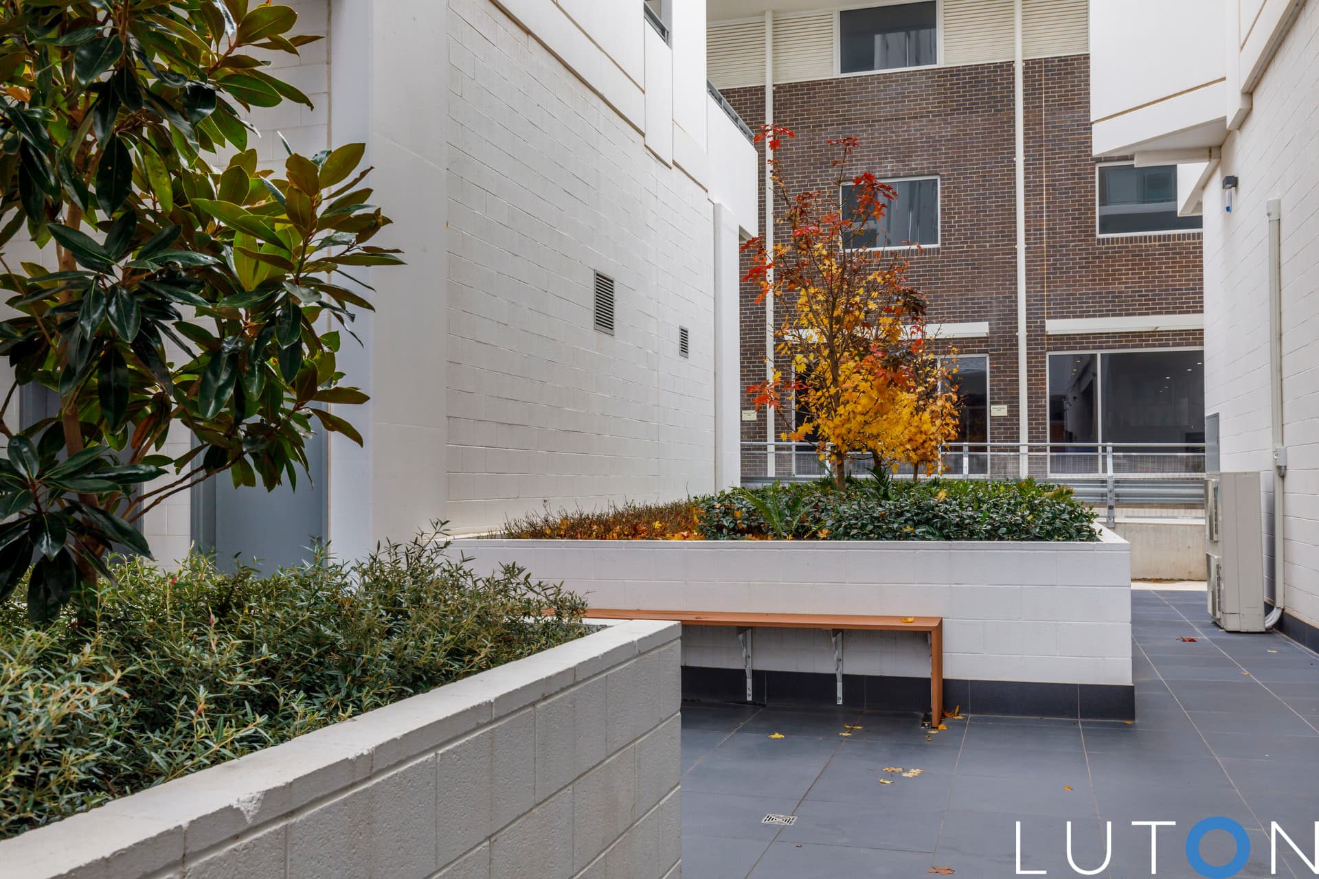34/77 Gozzard Street, Gungahlin ACT 2912, Gungahlin - Thumbnail 5