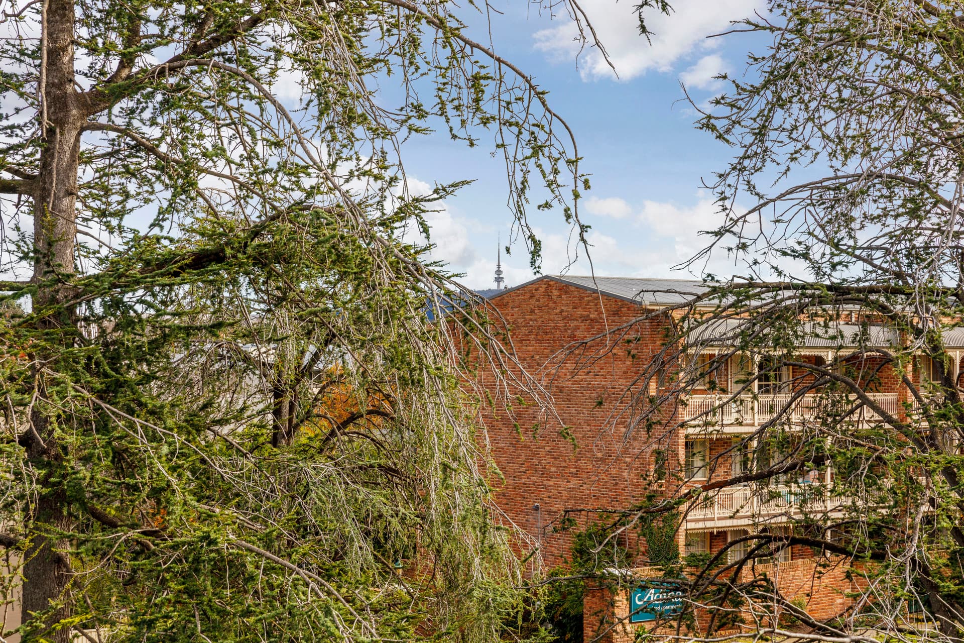 5/8 Giles Street, Griffith ACT 2603, Griffith - Thumbnail 5